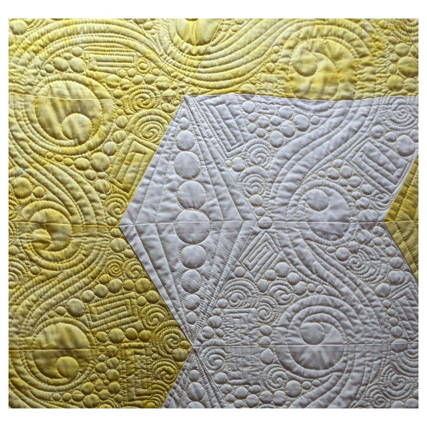 NOT MY WORK. I saw this at a vendor booth in Houston at the IQF in 2024 and neglected to get the name of the artist, but her machine quilting is awesome. Whenever I see great machine quilting  I always get a picture because I'm always looking for ins