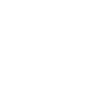 ASTONMARTIN.png