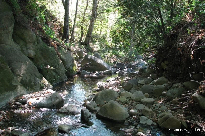 232_bill-wallace-trail.jpg