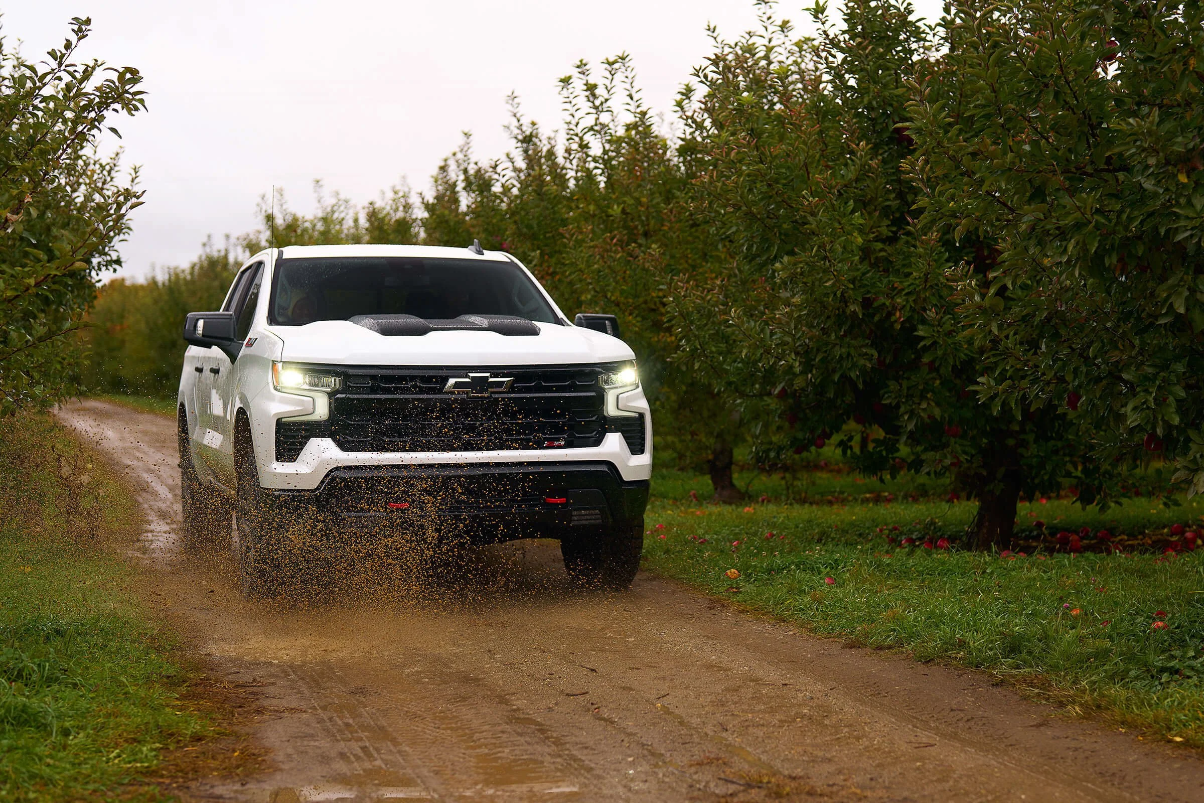 A white Chevrolet pickup truck driving on a dirt road through an orchard with trees on both sides.