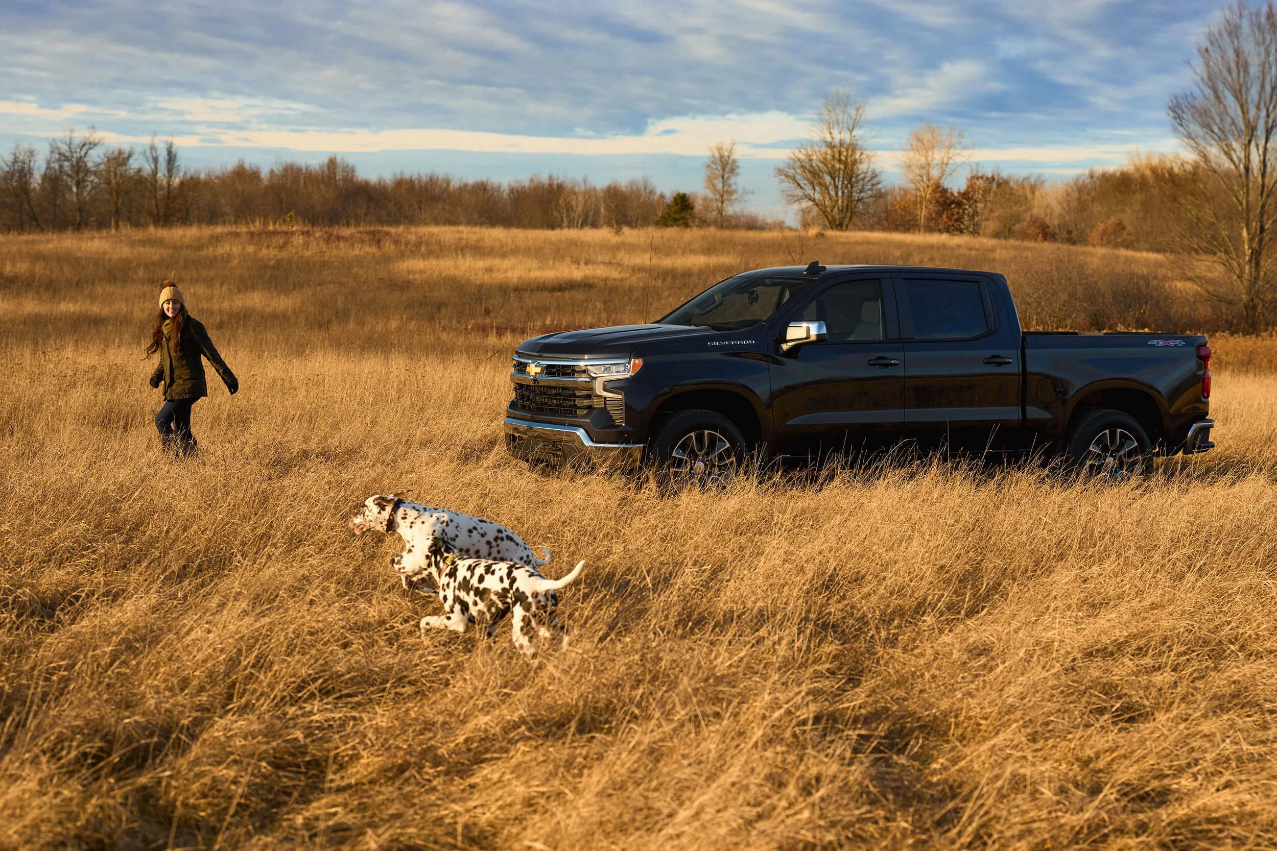A woman walking in a grassy field with two Dalmatian dogs, a black Chevrolet Silverado truck parked nearby, in a rural landscape with trees and a cloudy sky.