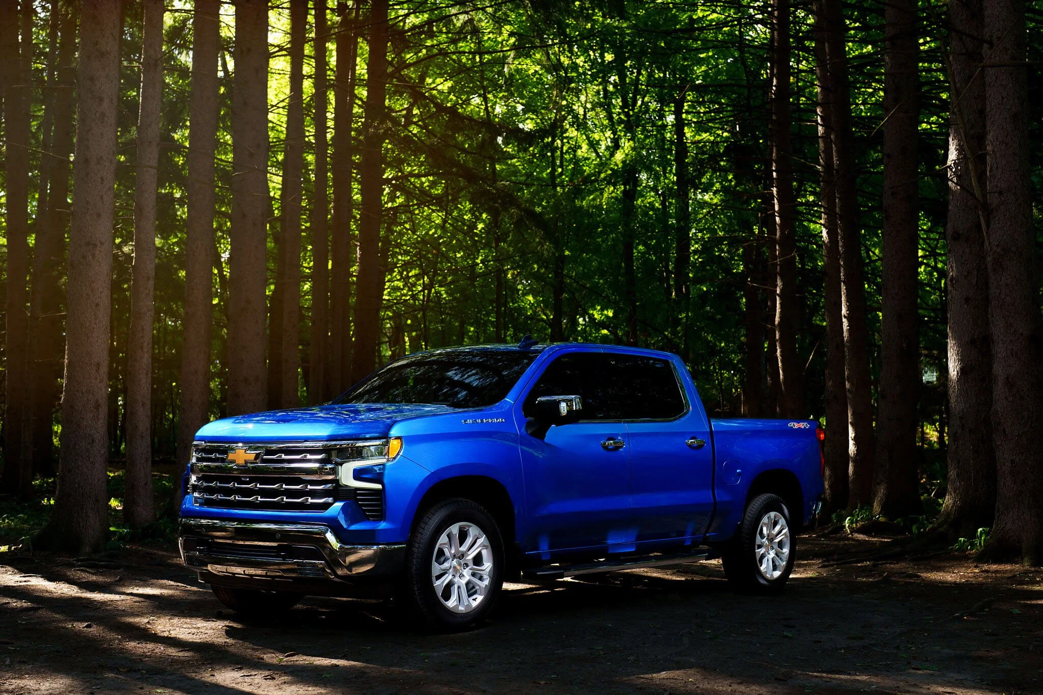 A blue pickup truck parked in a forest with tall trees and sunlight filtering through the leaves.