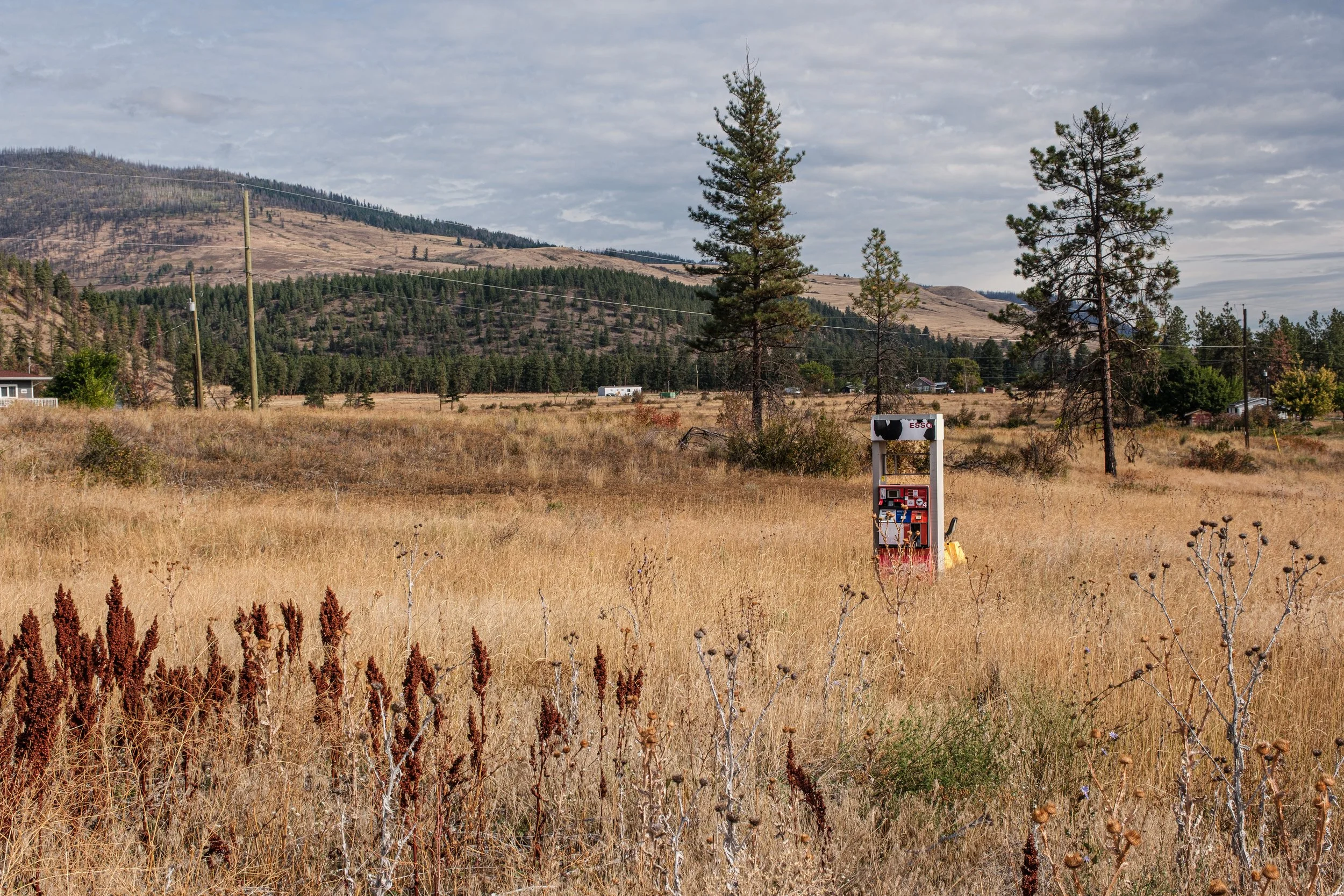 DSCF3831.jpg