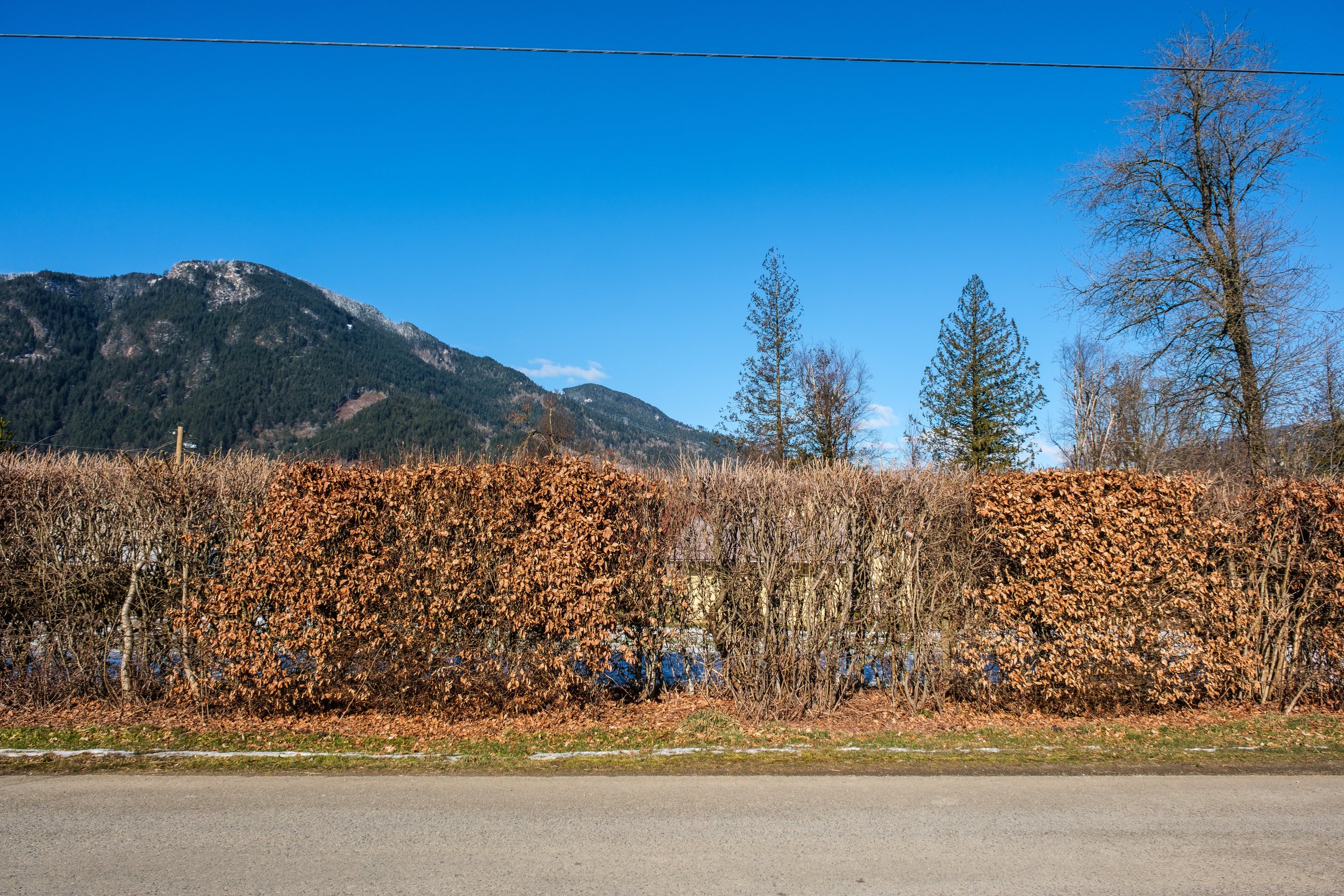 DSCF4872.jpg