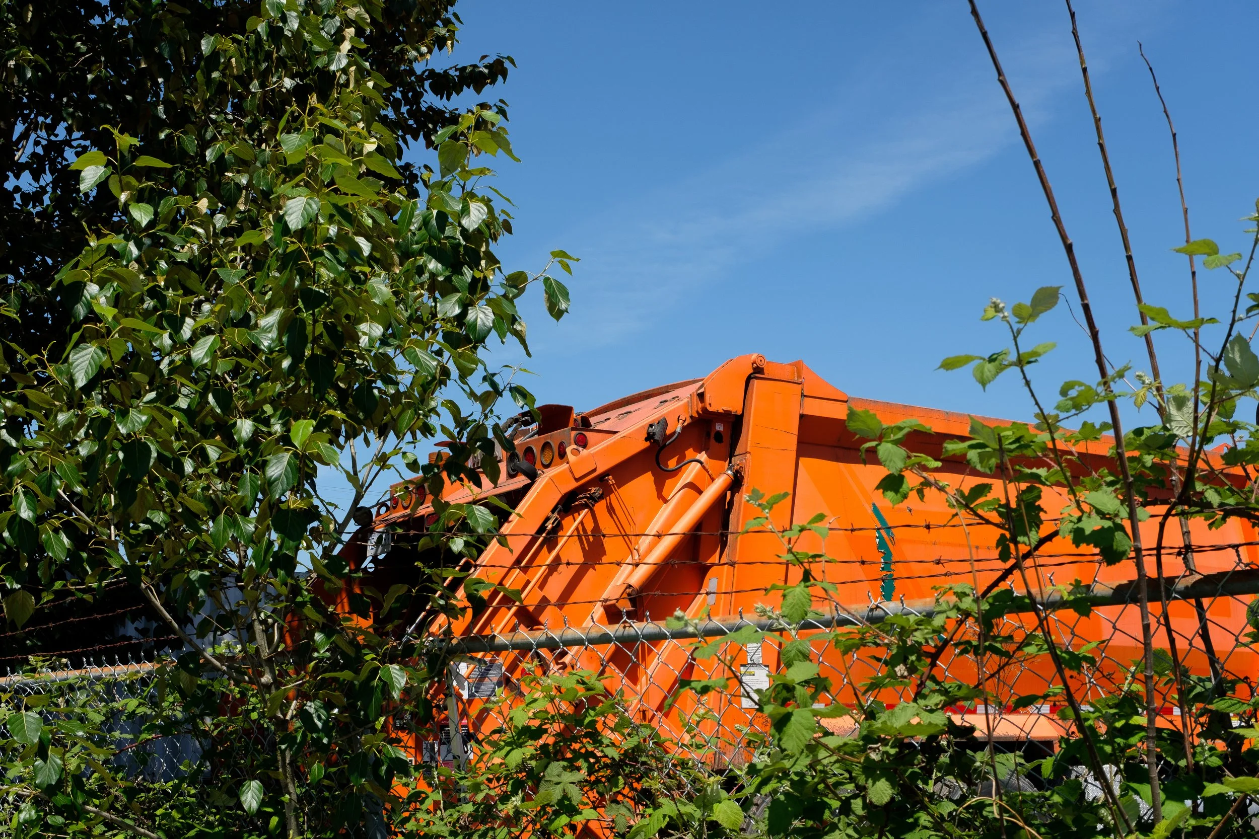 DSCF0715.jpg