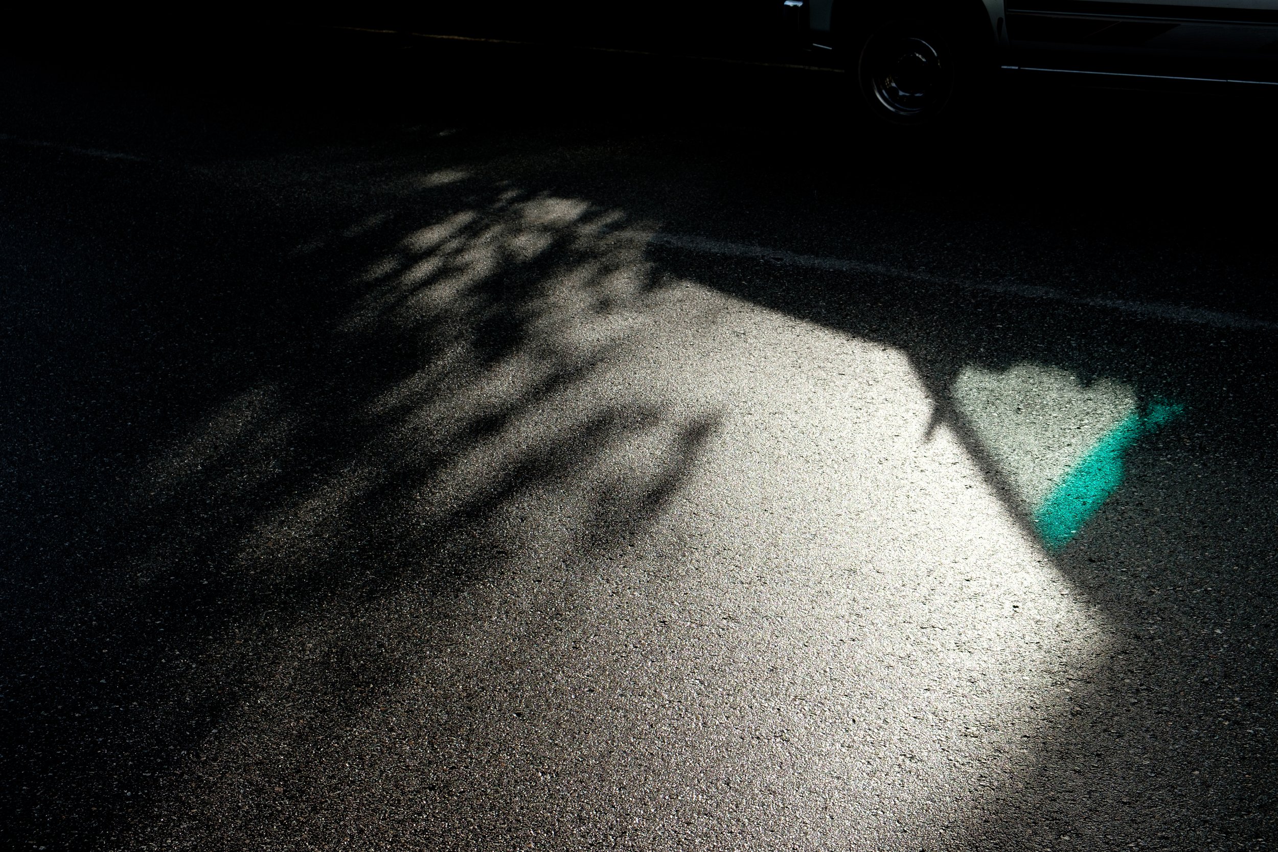 DSCF3459.jpg