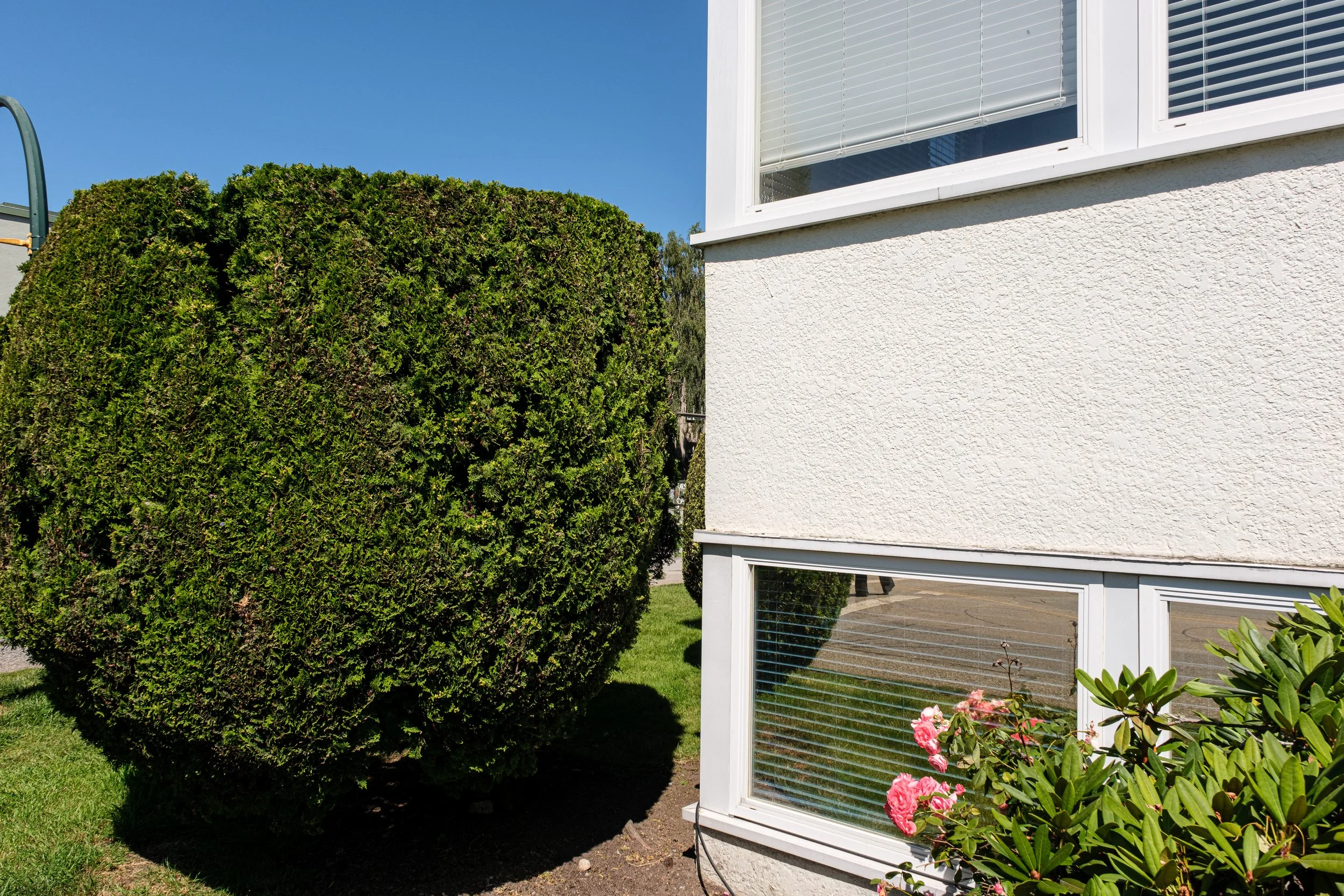 DSCF3390-2.jpg