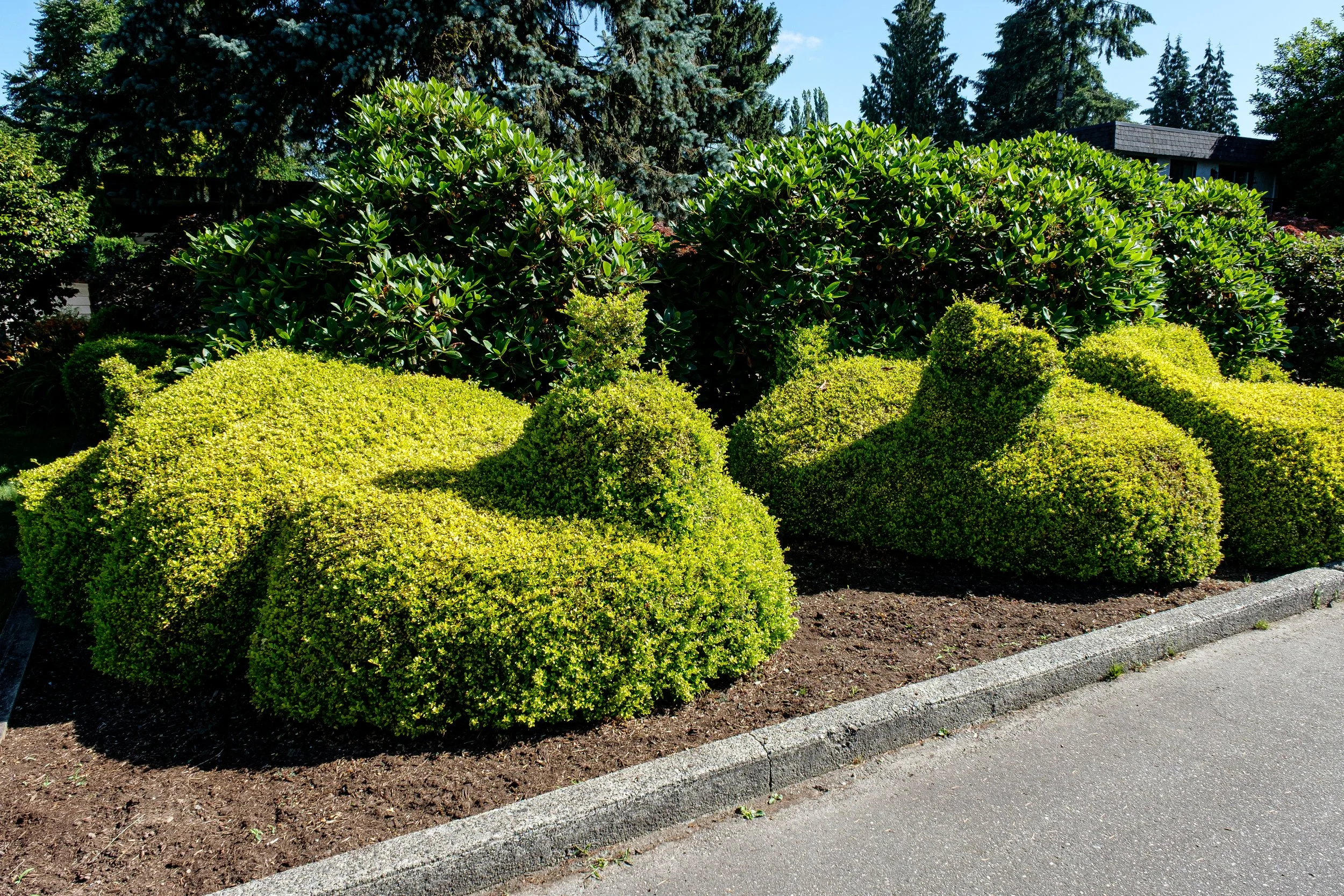 DSCF3414-2.jpg