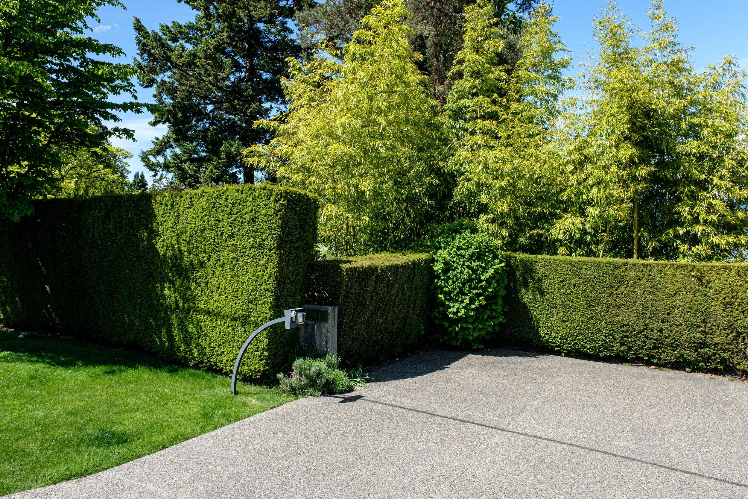 DSCF7563-2.jpg