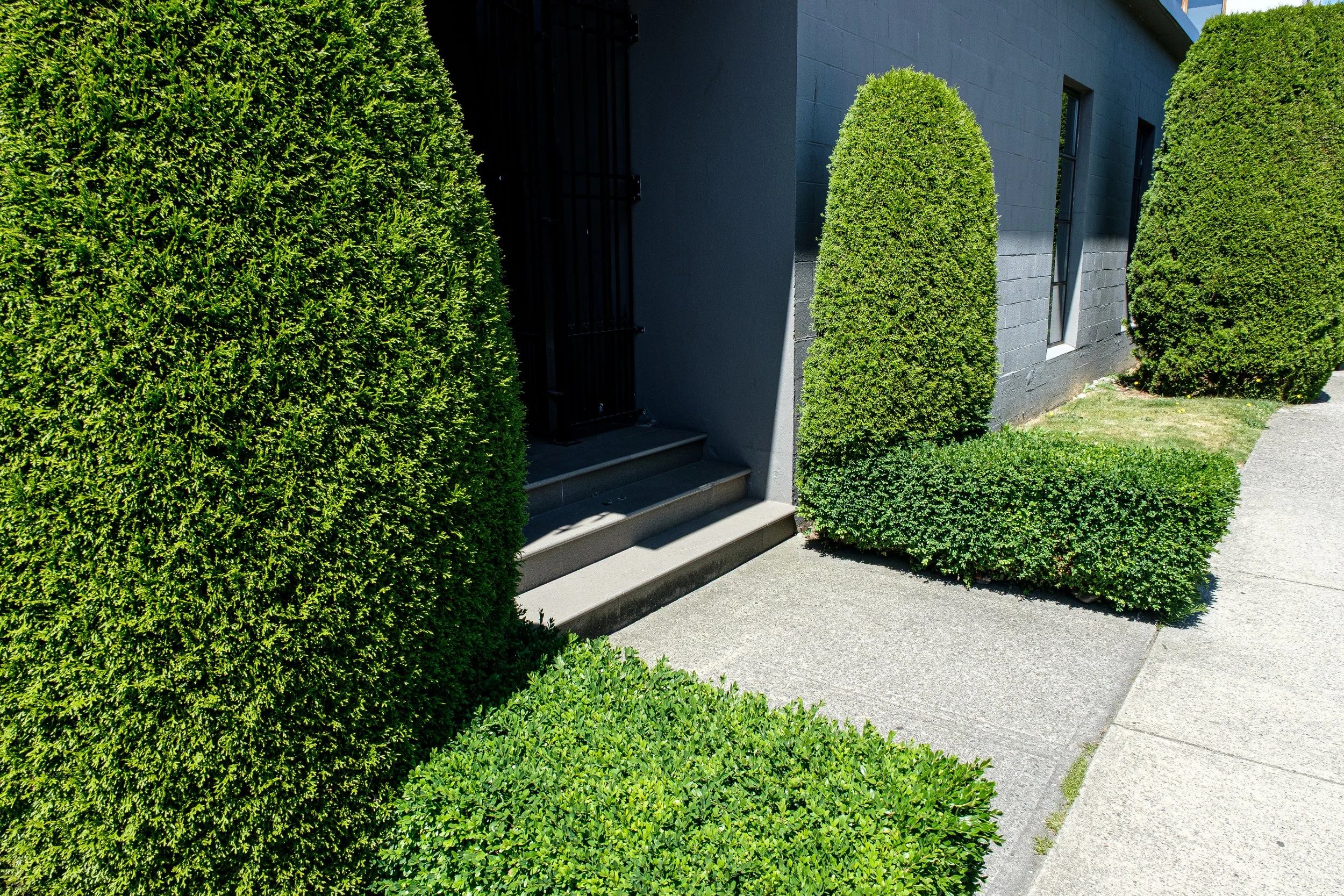 DSCF3353-2.jpg