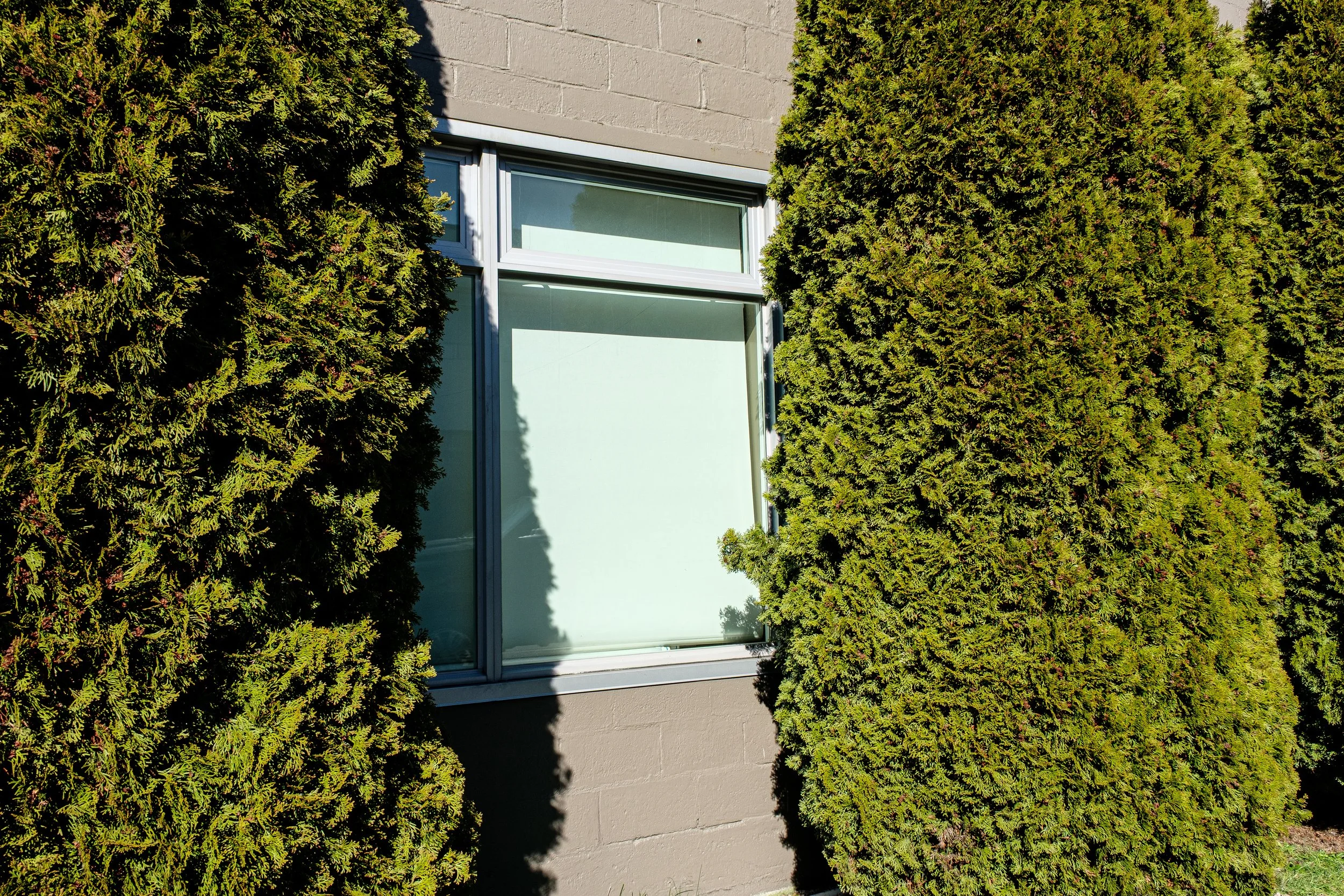 DSCF7103-2.jpg