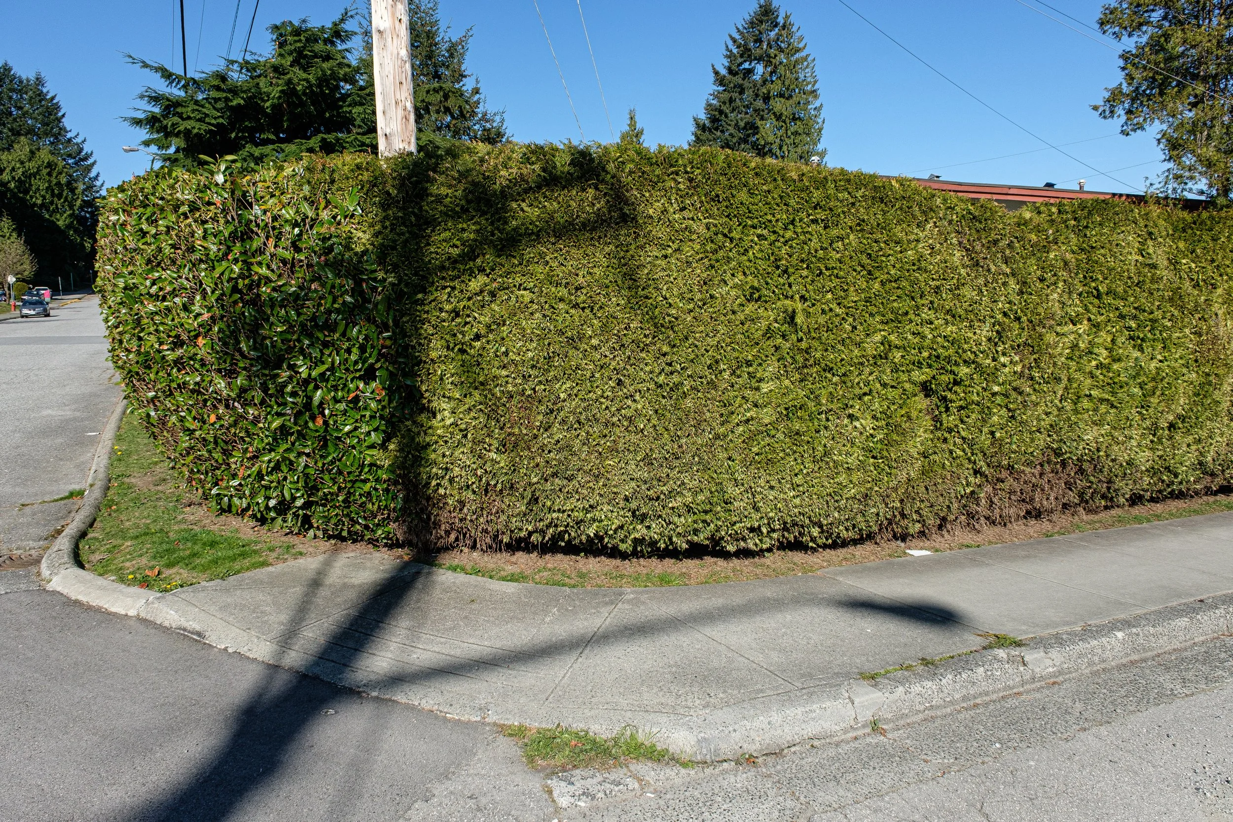 DSCF0454-2.jpg