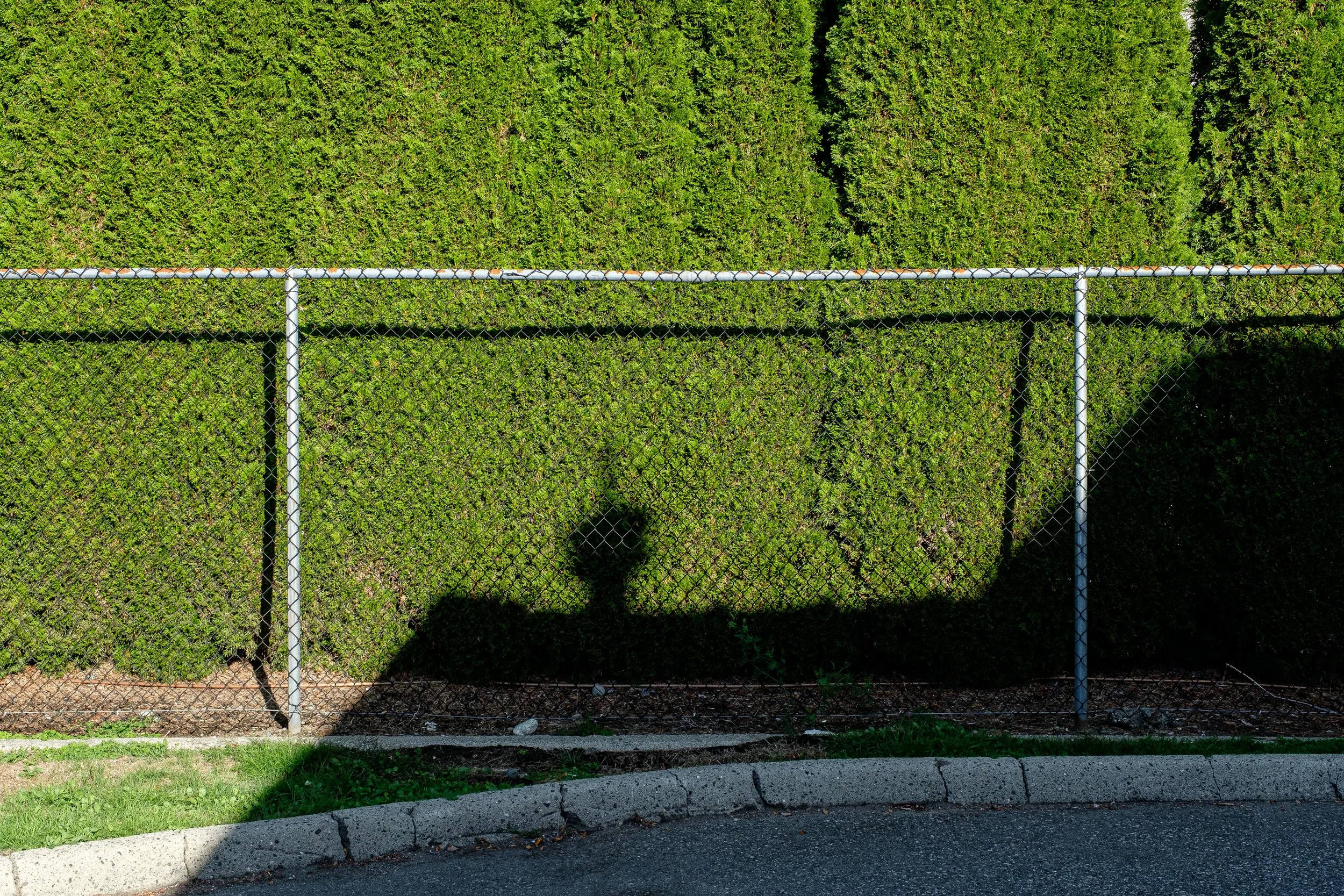 DSCF1669-2.jpg
