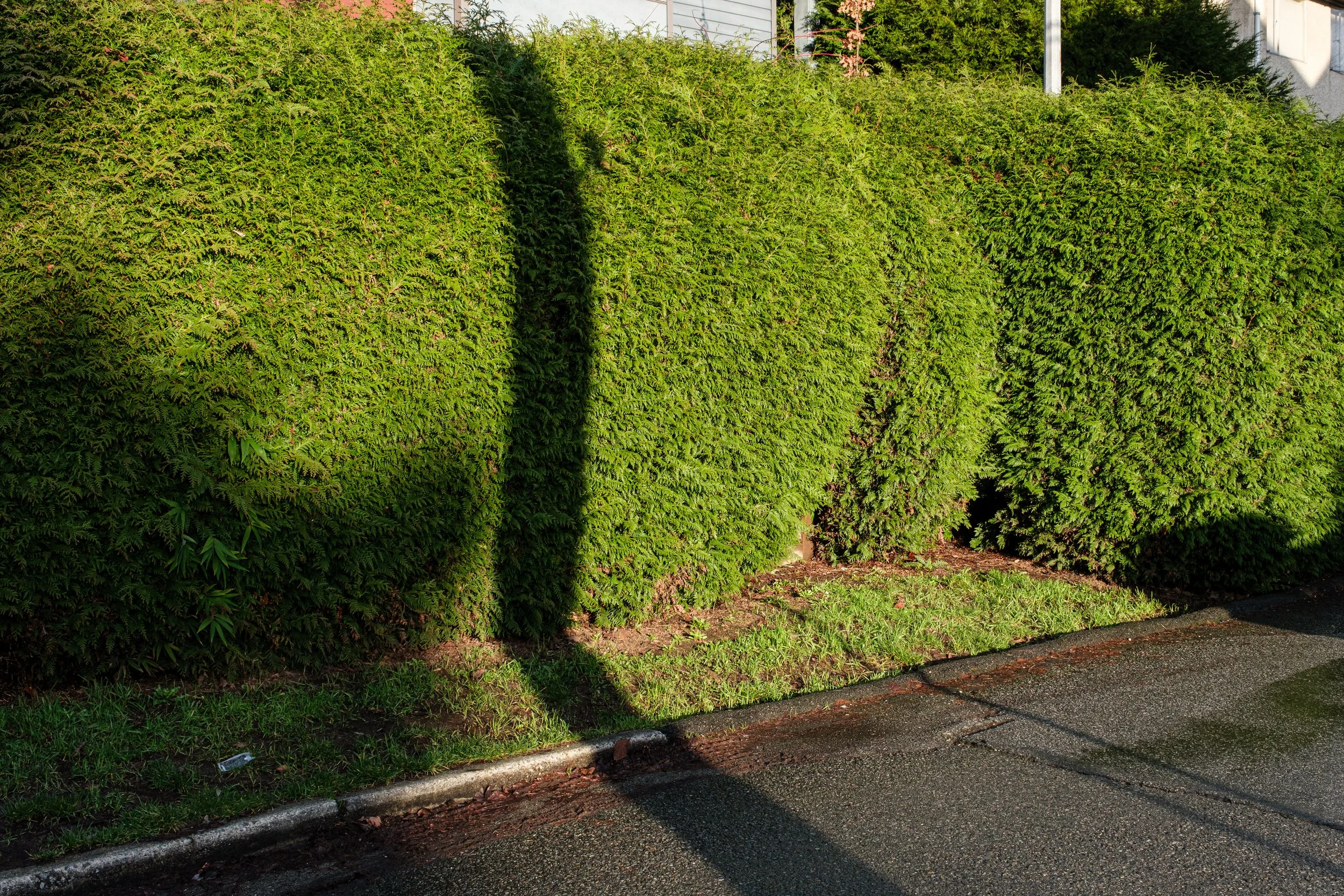 DSCF2214-2.jpg