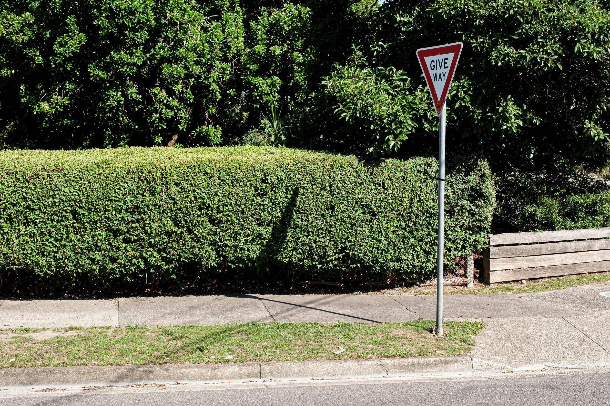 DSCF6691-2.jpg