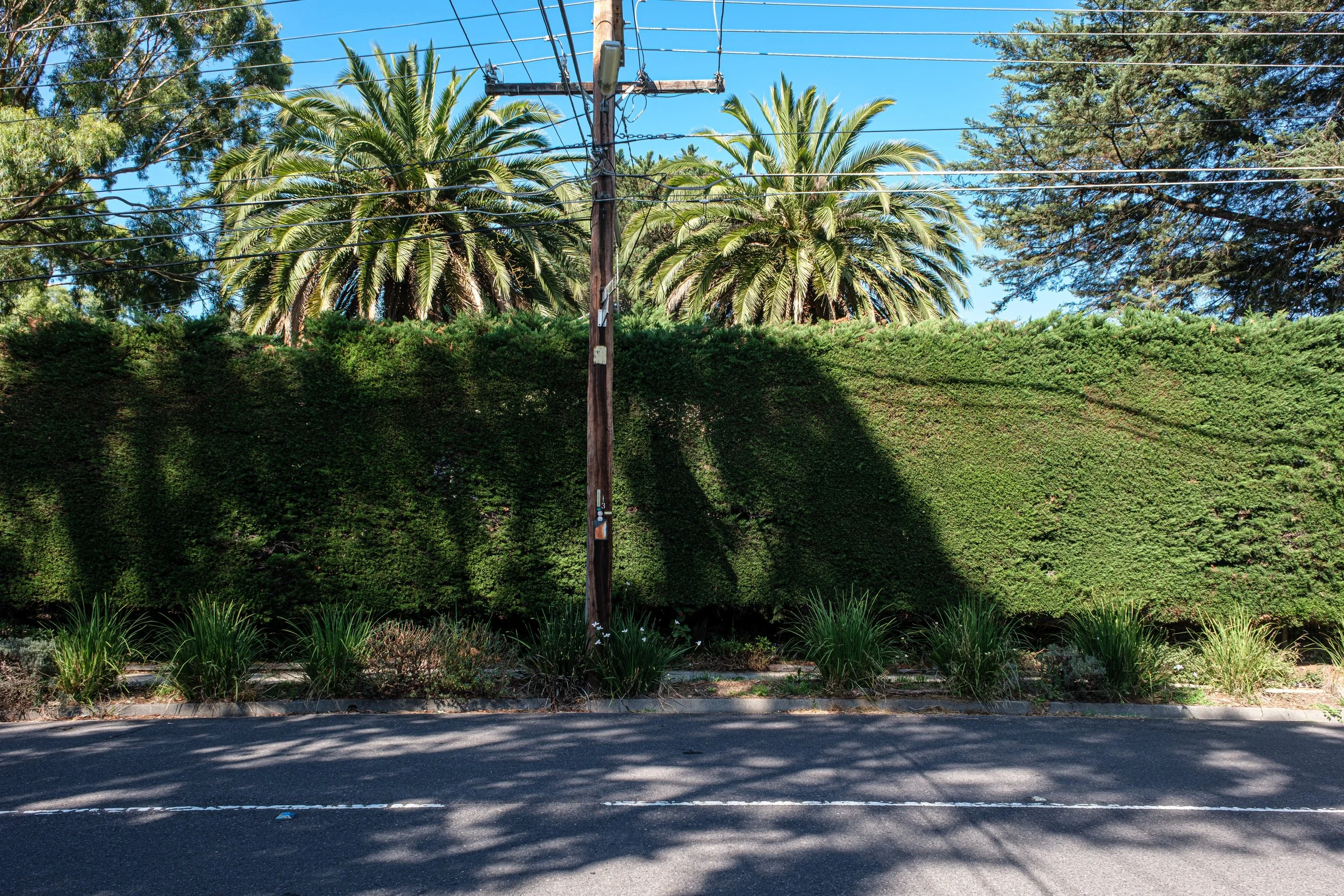DSCF6688-2.jpg