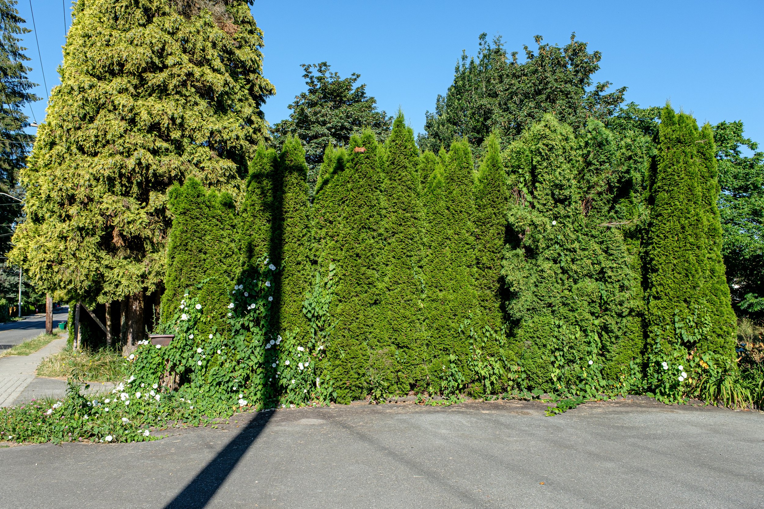DSCF3382-2.jpg