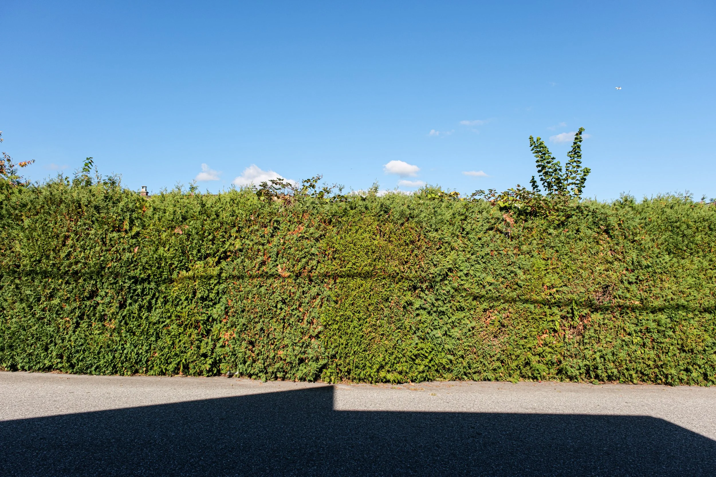 DSCF1935-2.jpg