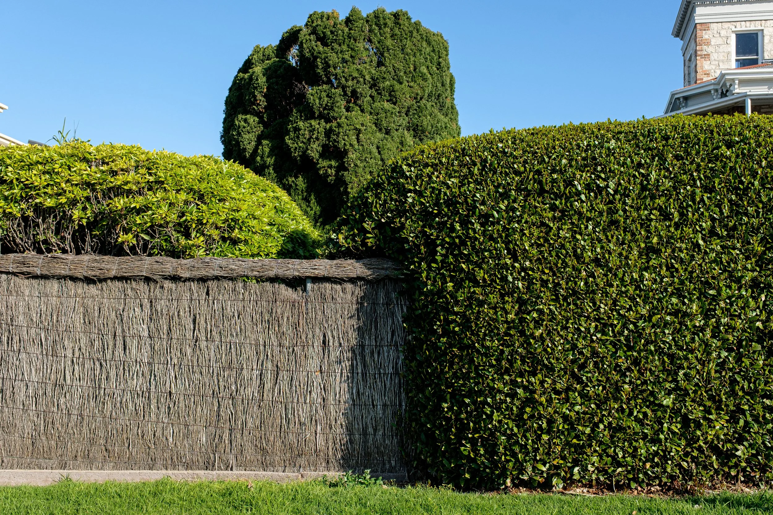 DSCF4652-2.jpg