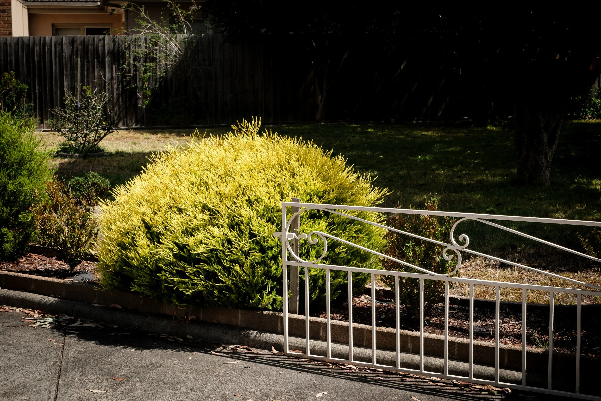 DSCF6432-2.jpg