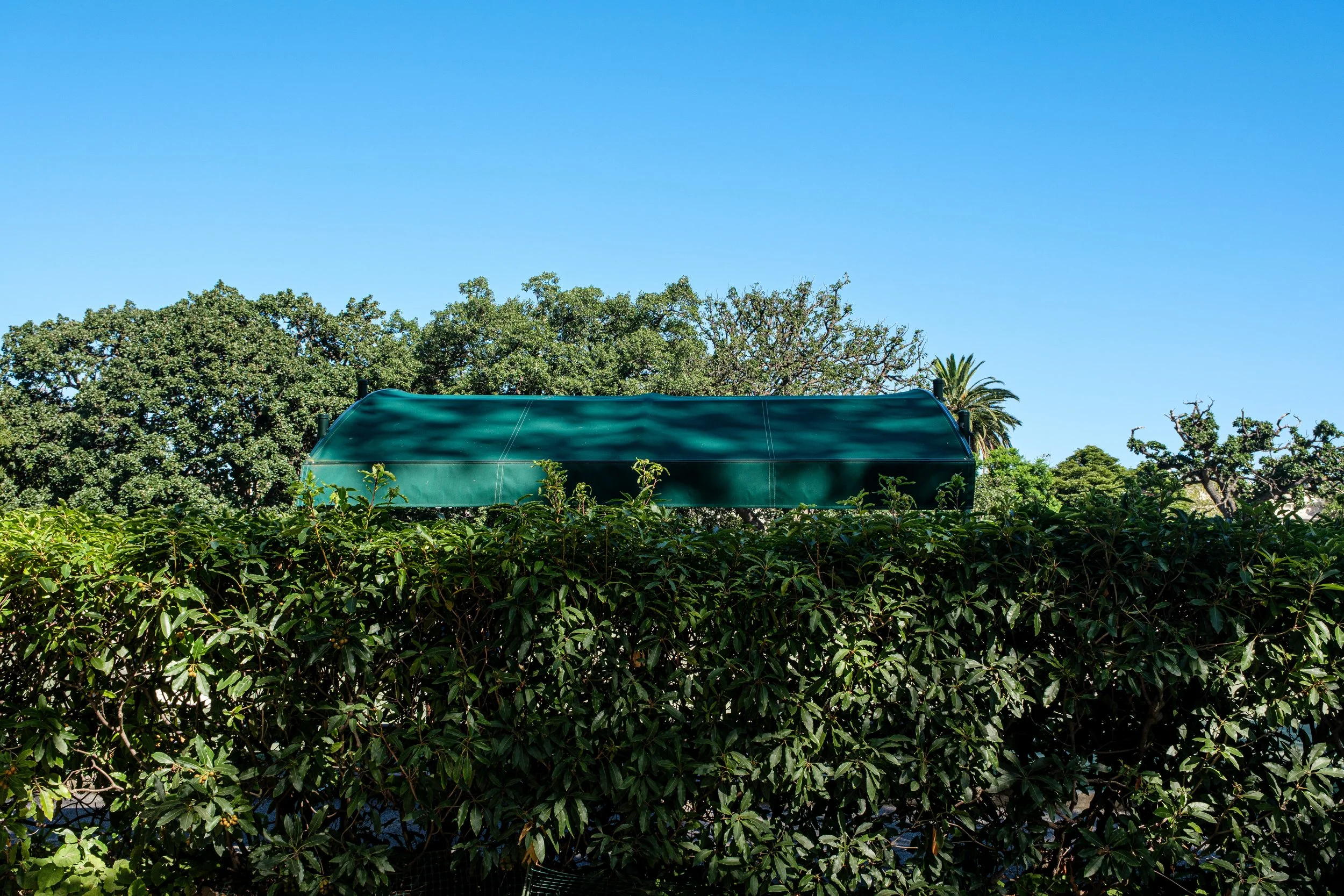DSCF6567-2.jpg