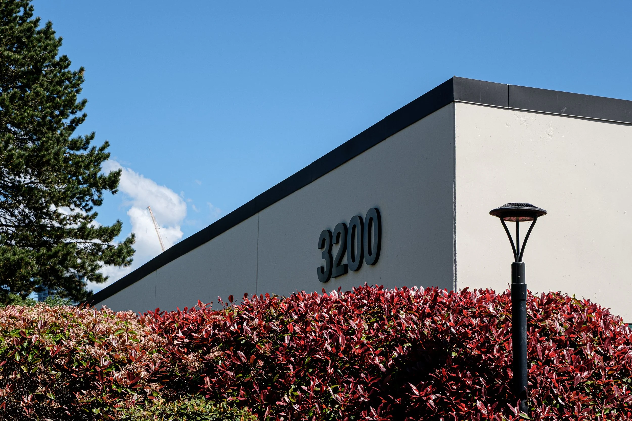 DSCF3187-2.jpg
