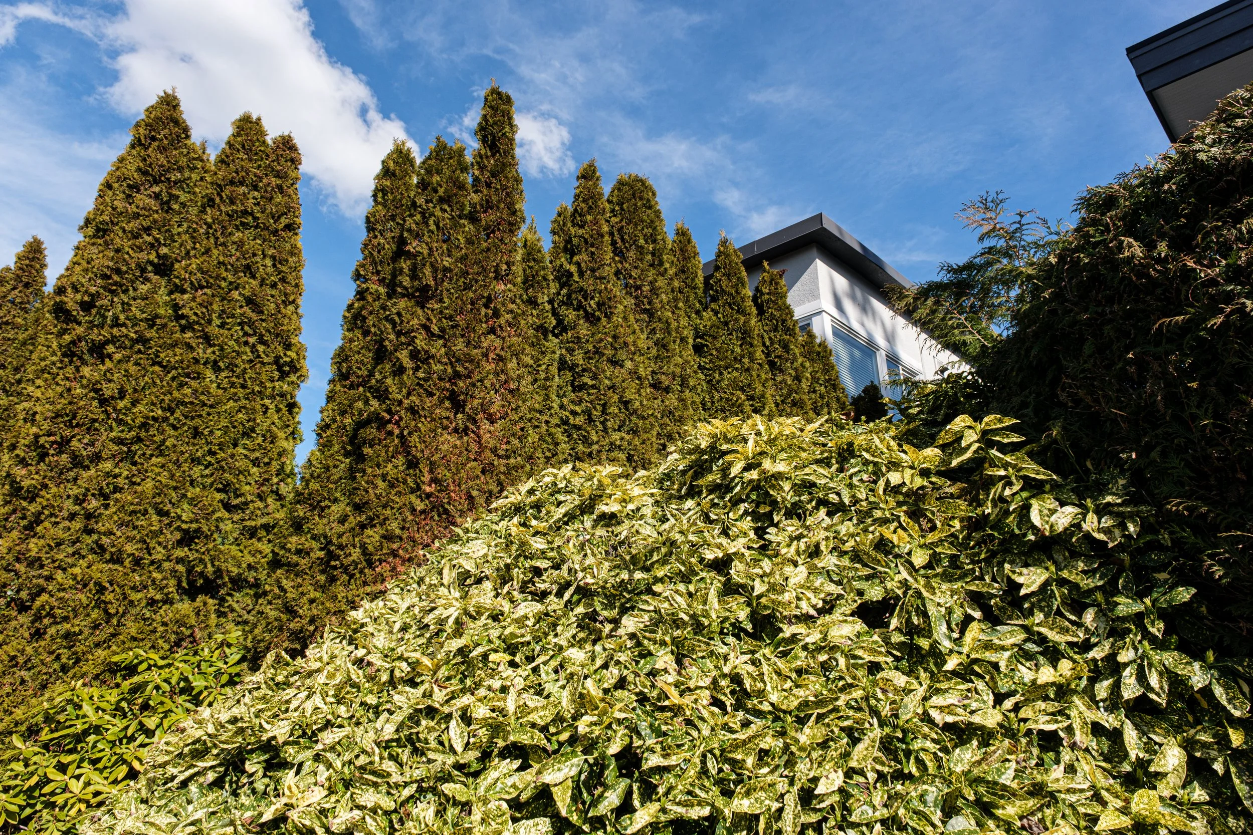 DSCF0646-2.jpg