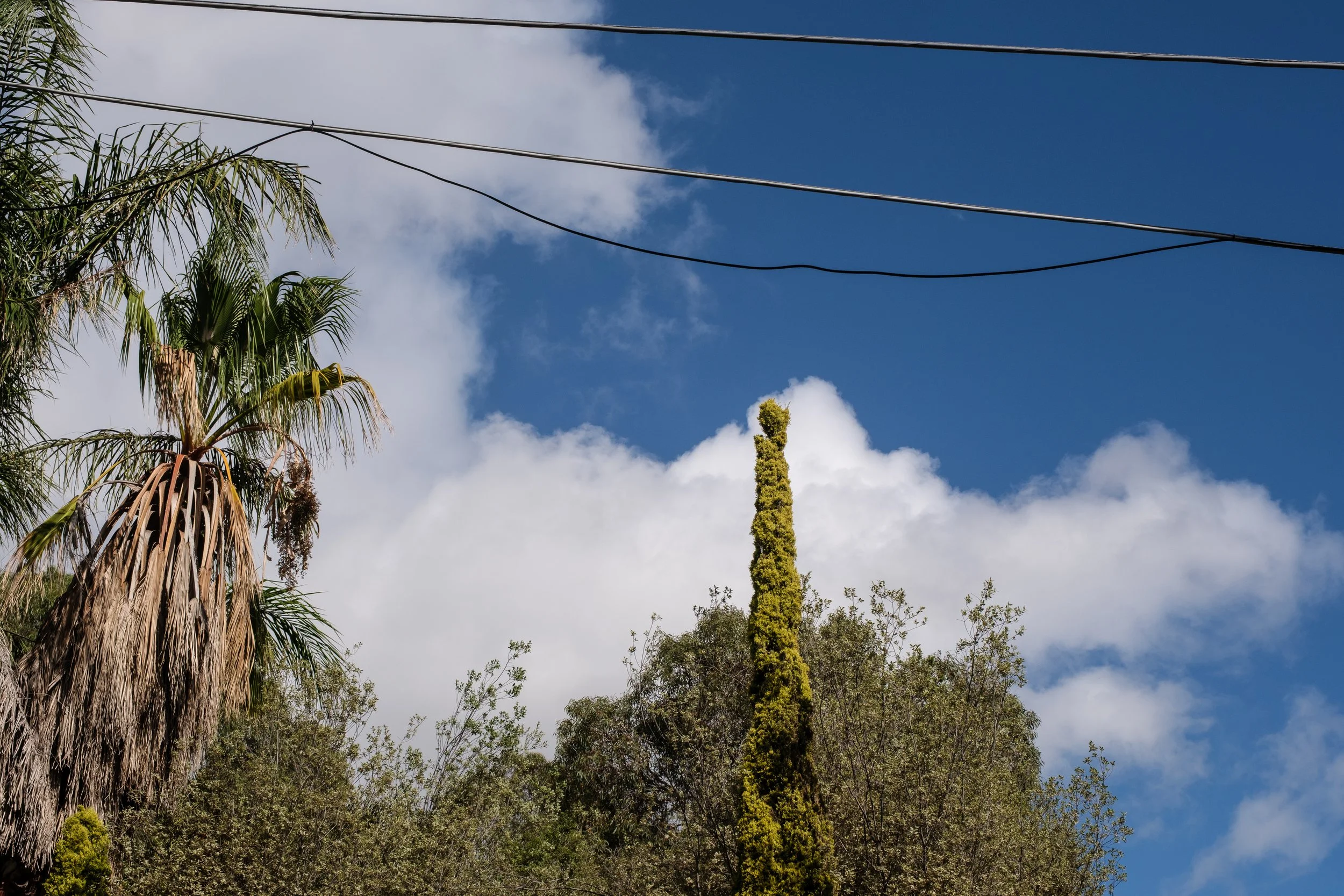 DSCF6720-2.jpg