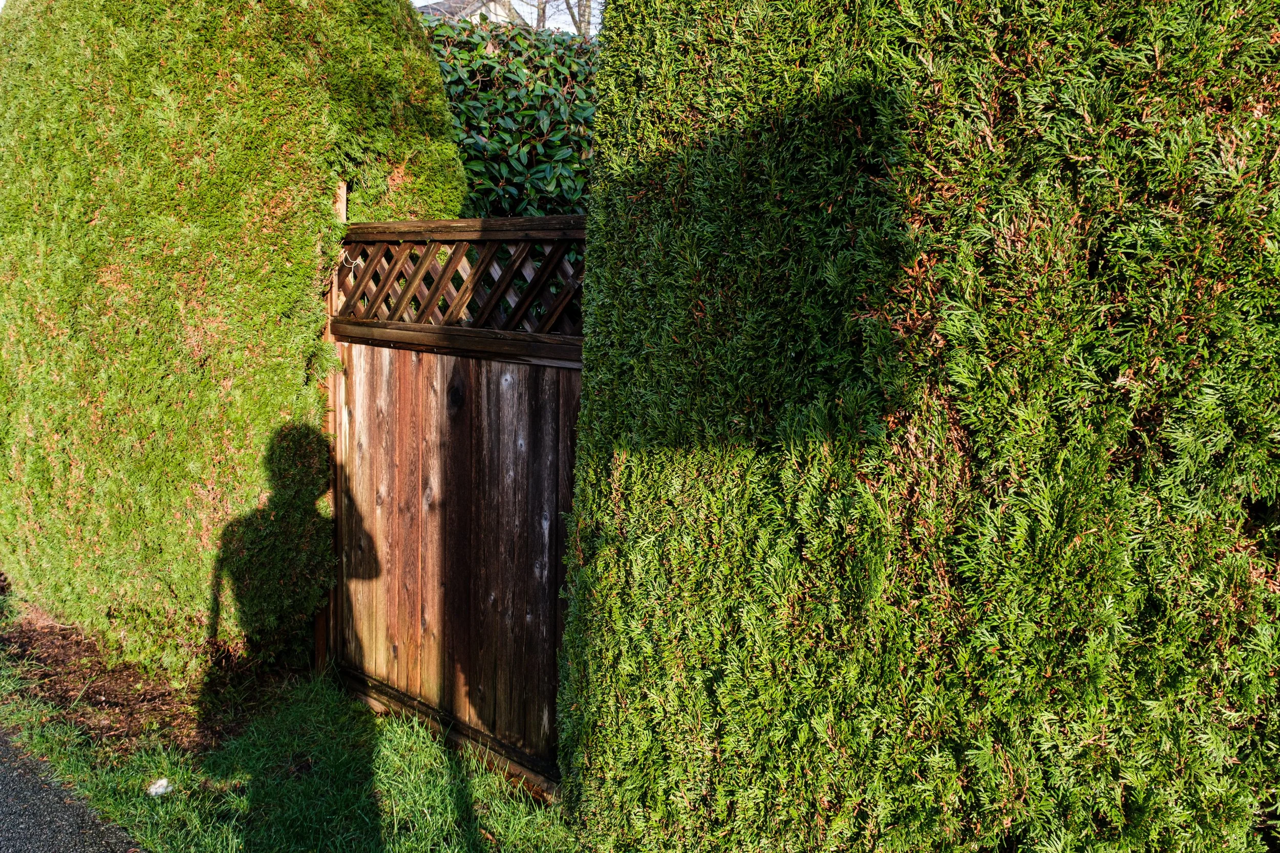 DSCF2215-2.jpg