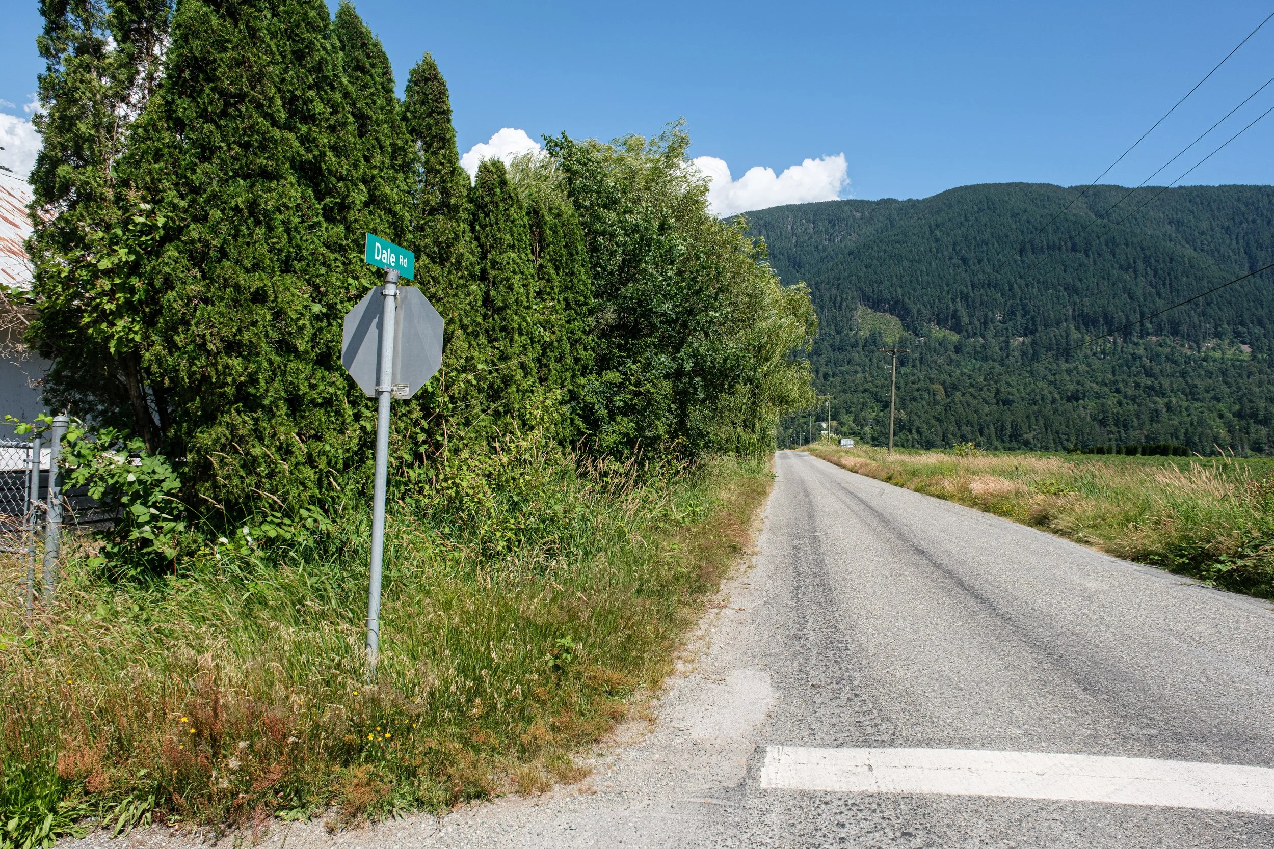 DSCF7125.jpg