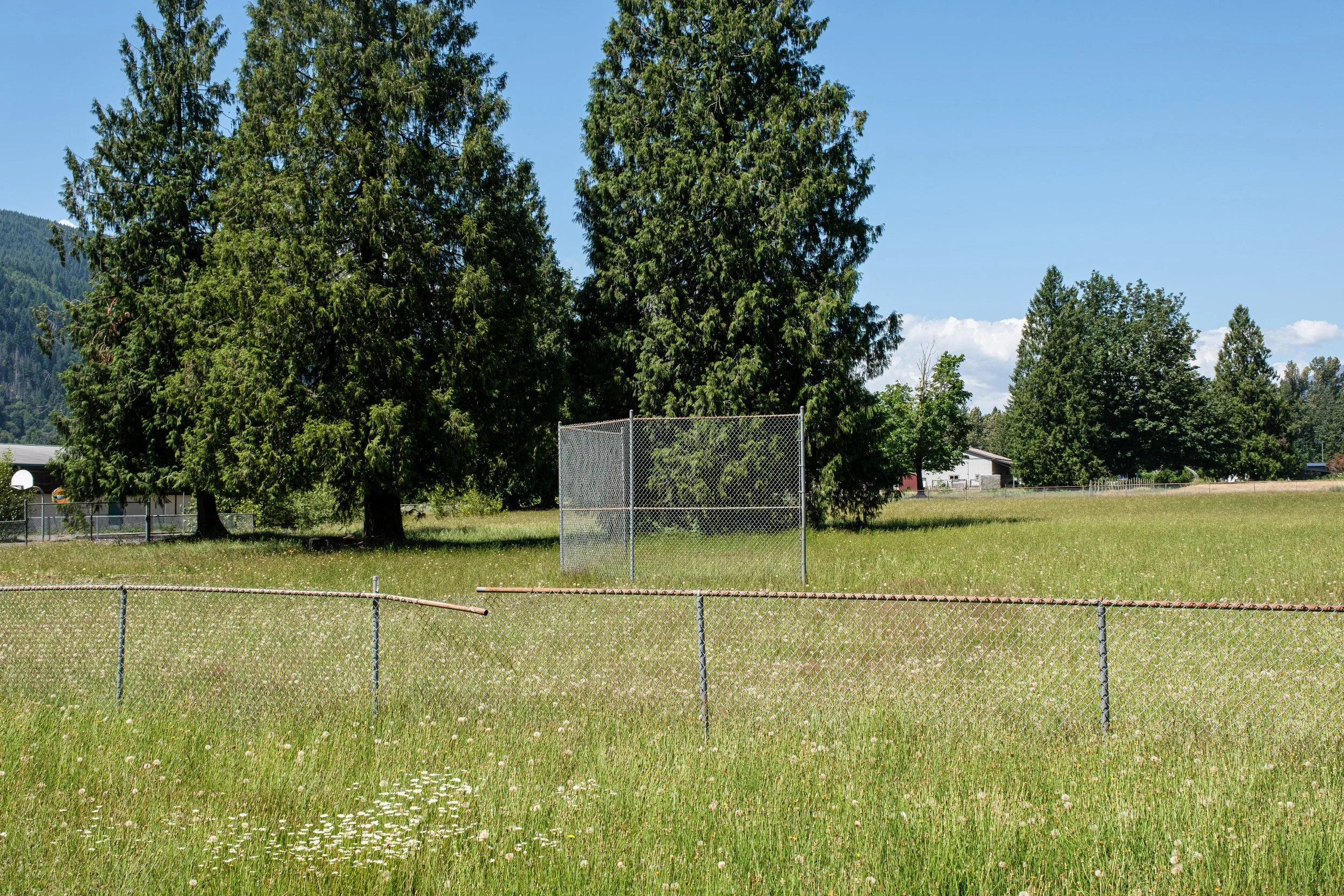 DSCF7098.jpg