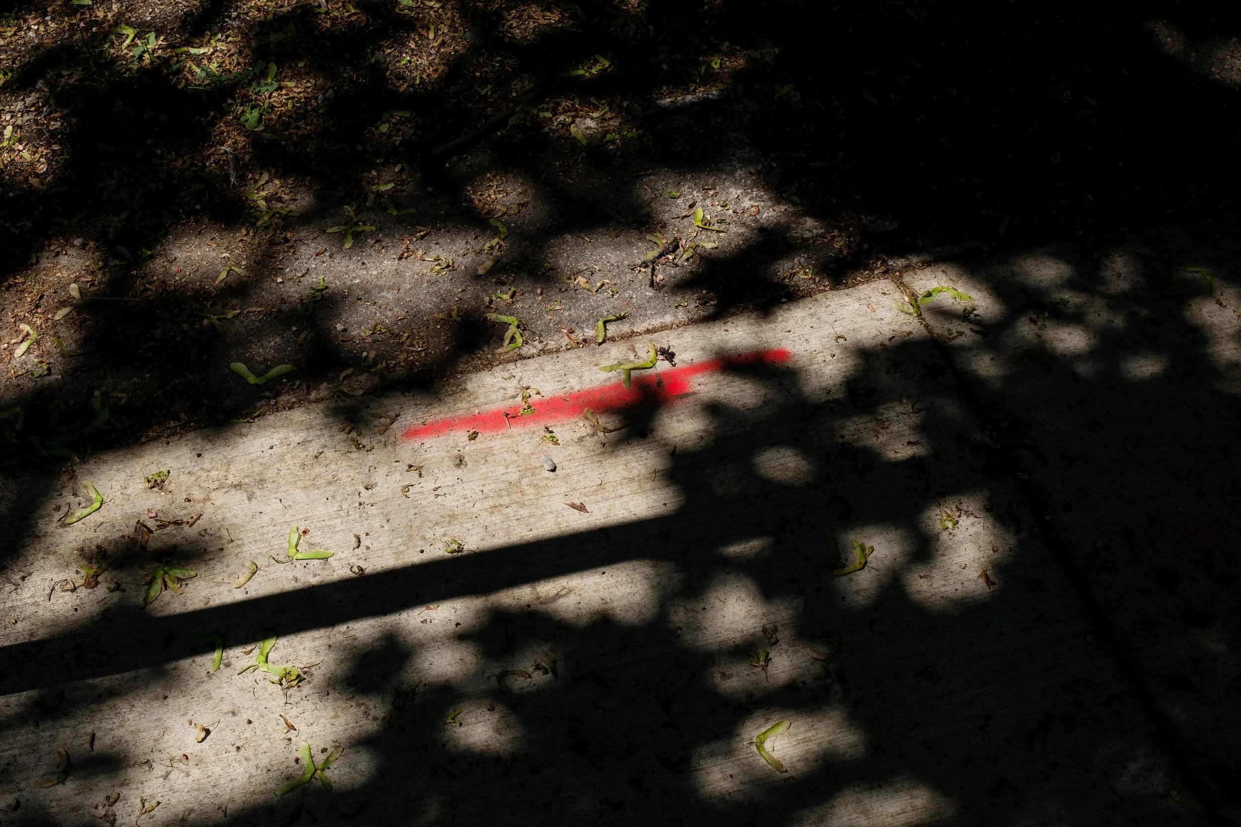 DSCF6956.jpg