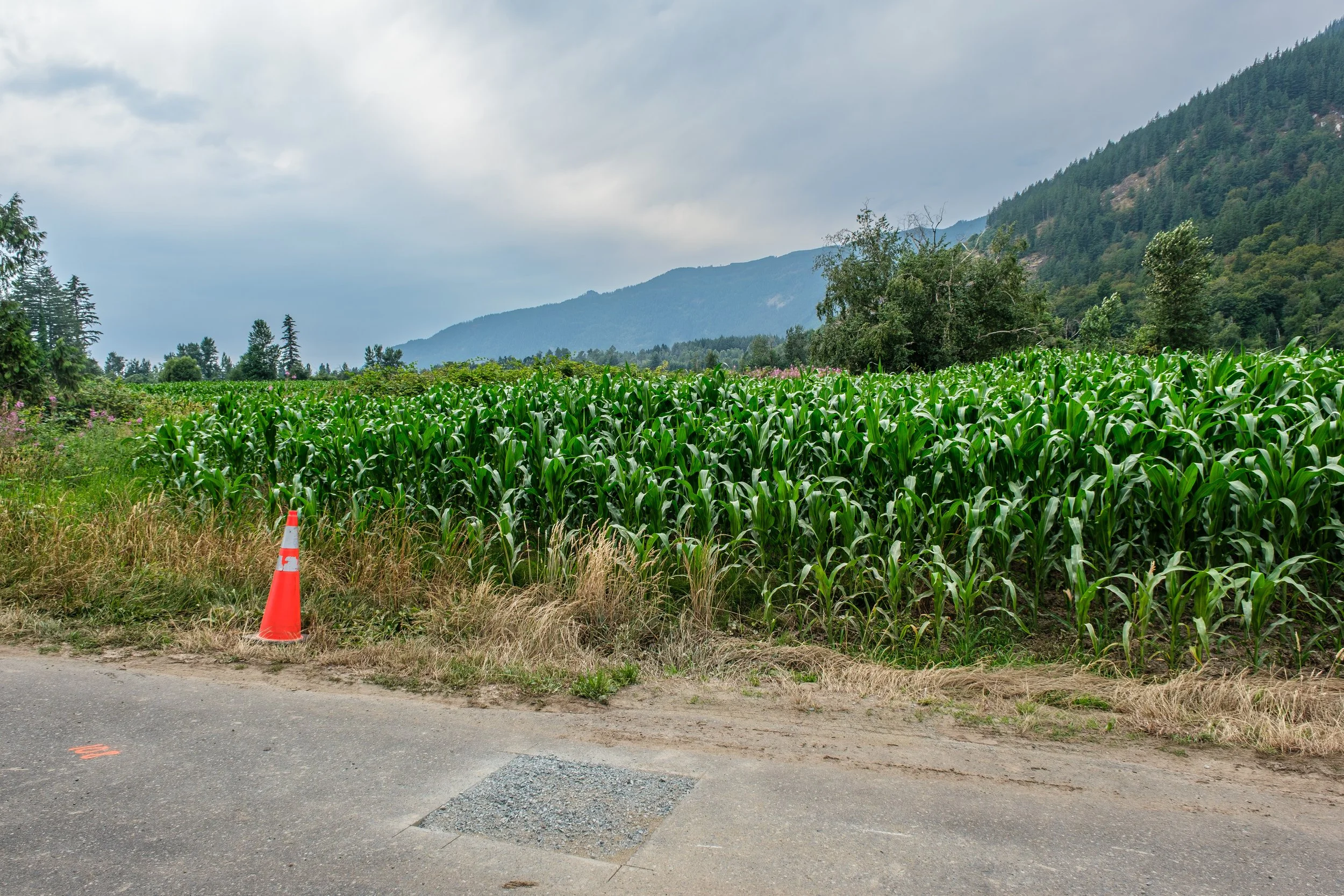DSCF7166.jpg