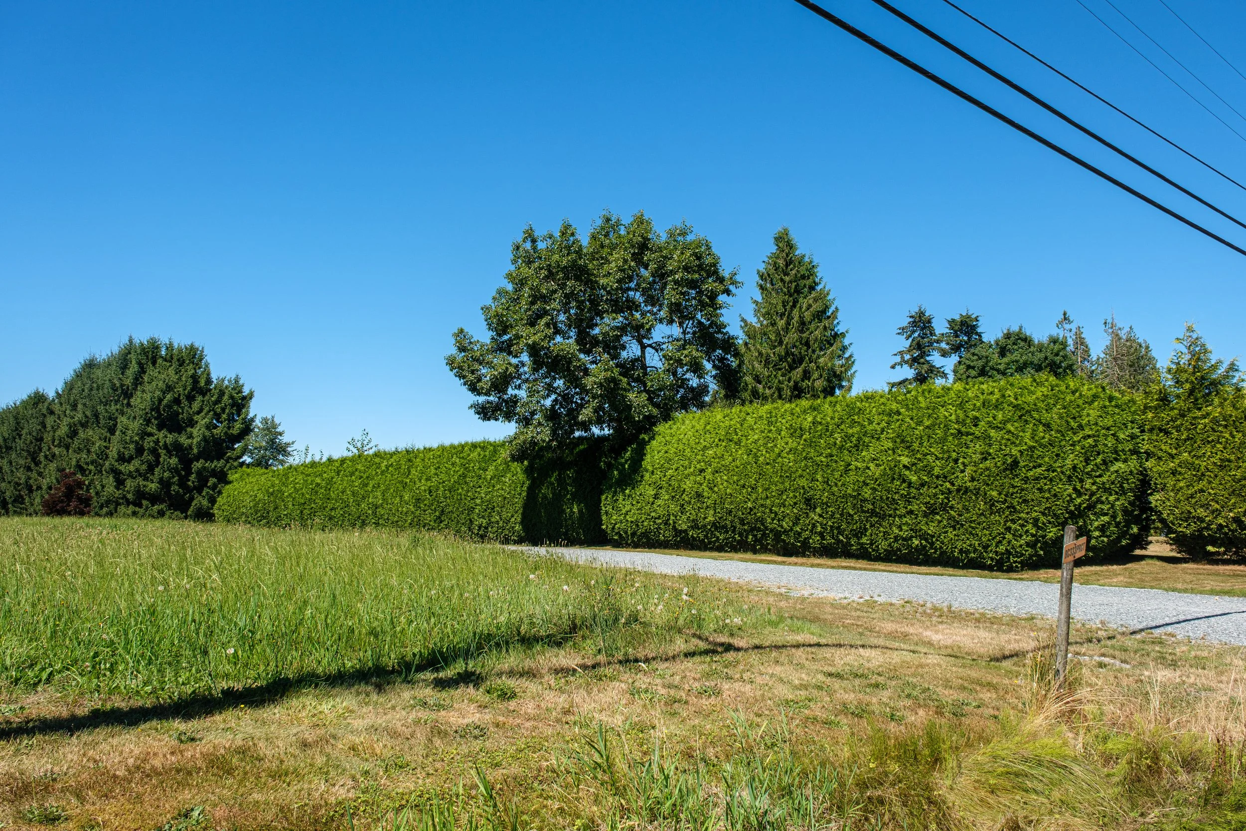 DSCF7270.jpg