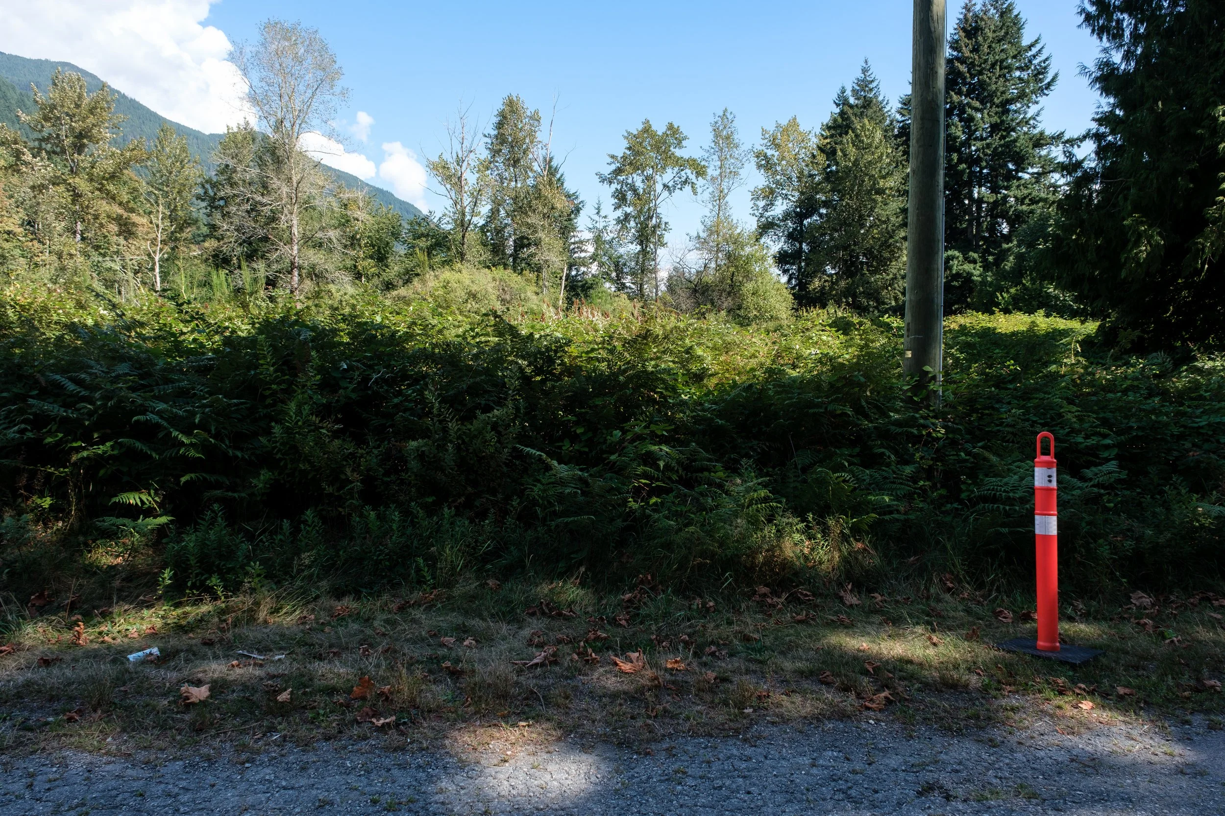 DSCF7394.jpg