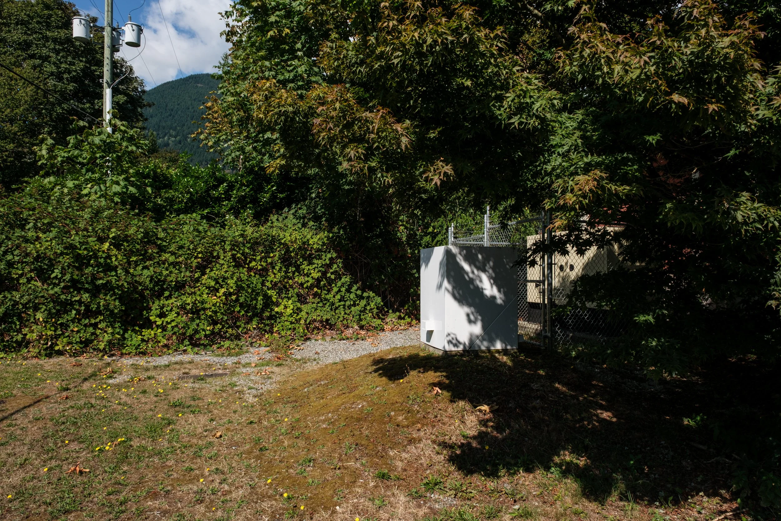 DSCF7397.jpg