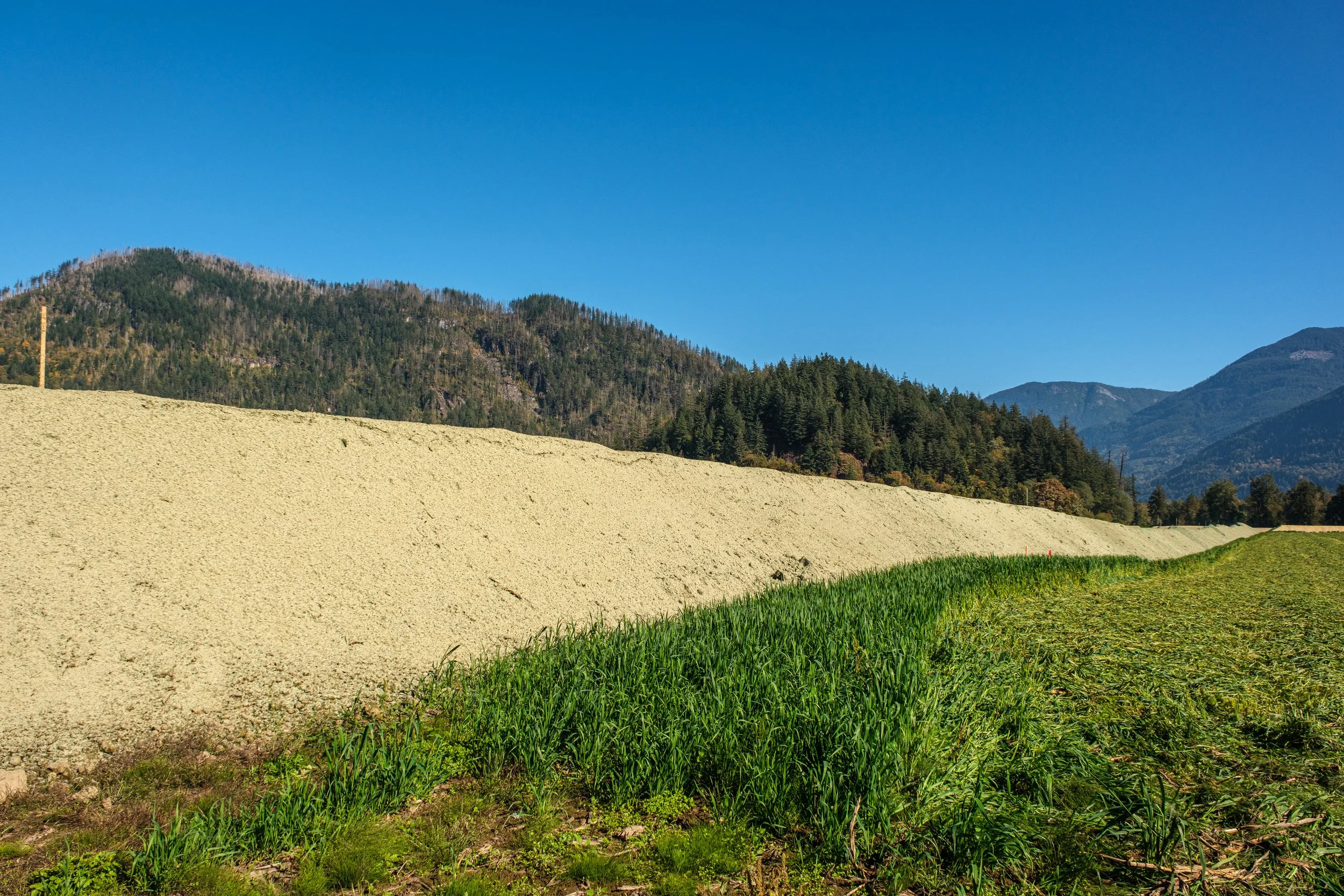DSCF7455.jpg