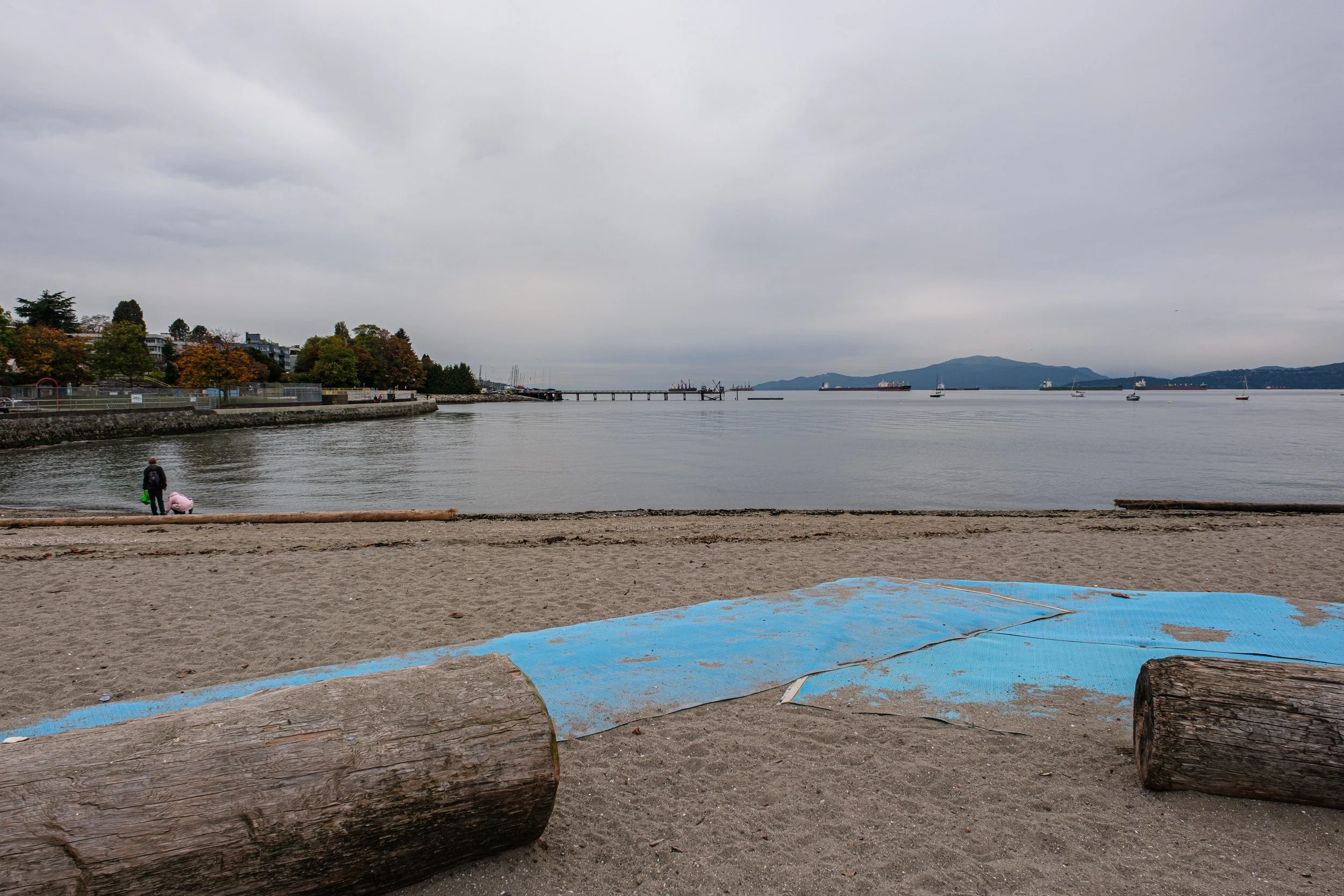 DSCF7480.jpg