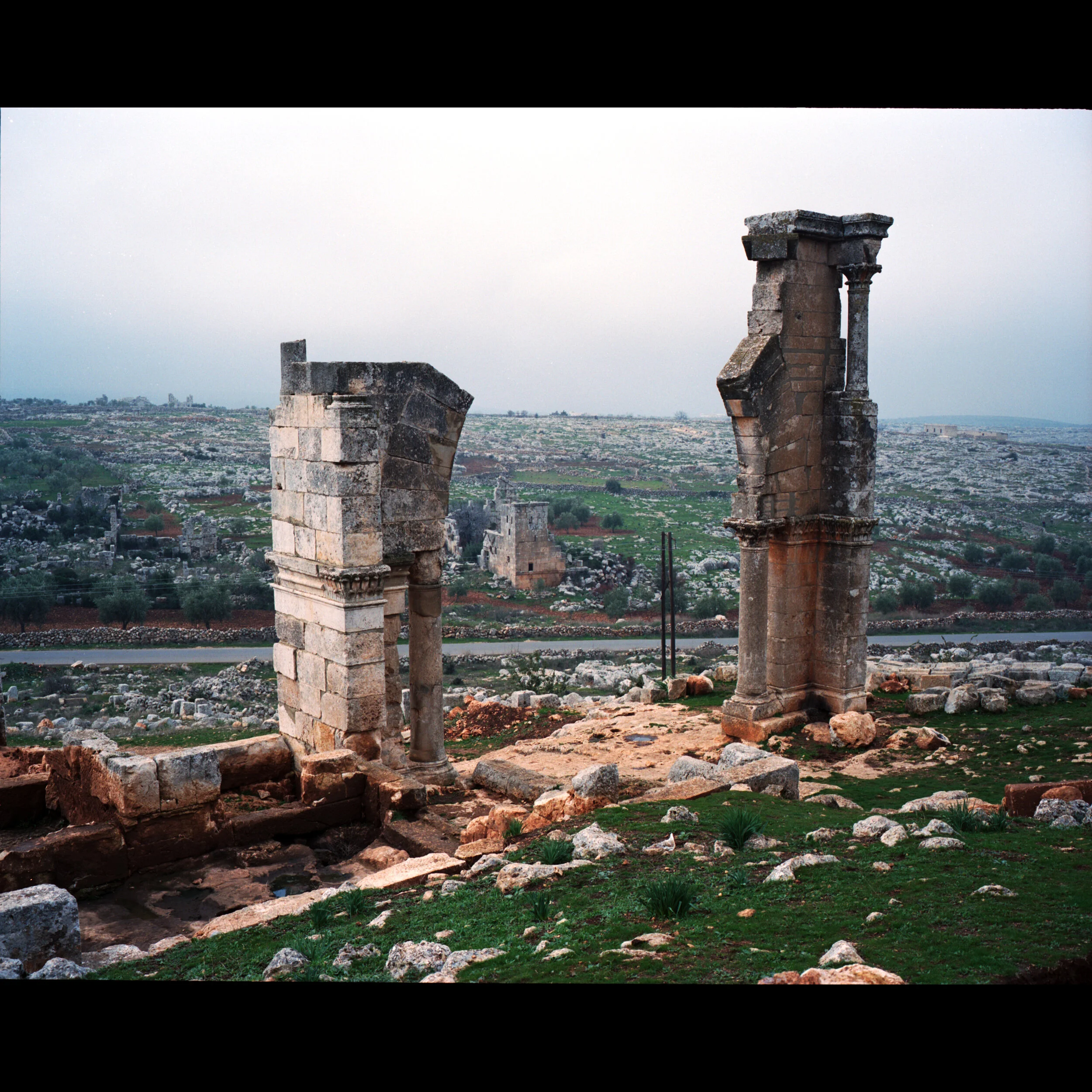 Syria6.jpg