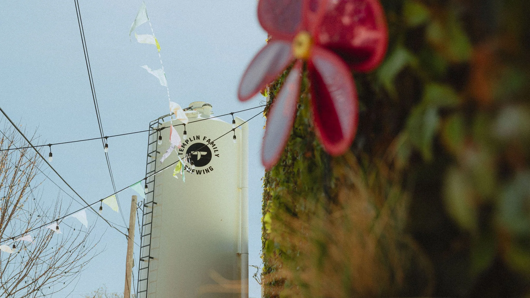 Bunny Hop 2026 175.jpg