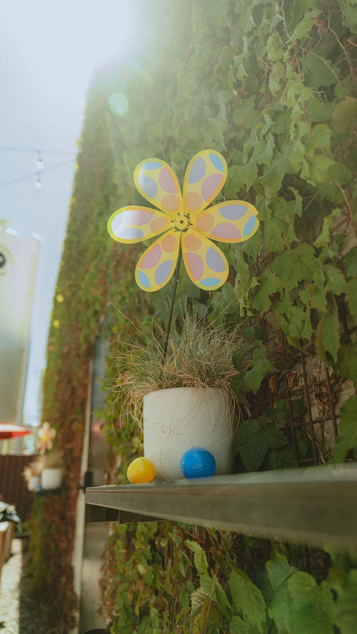 Bunny Hop 2026 177.jpg