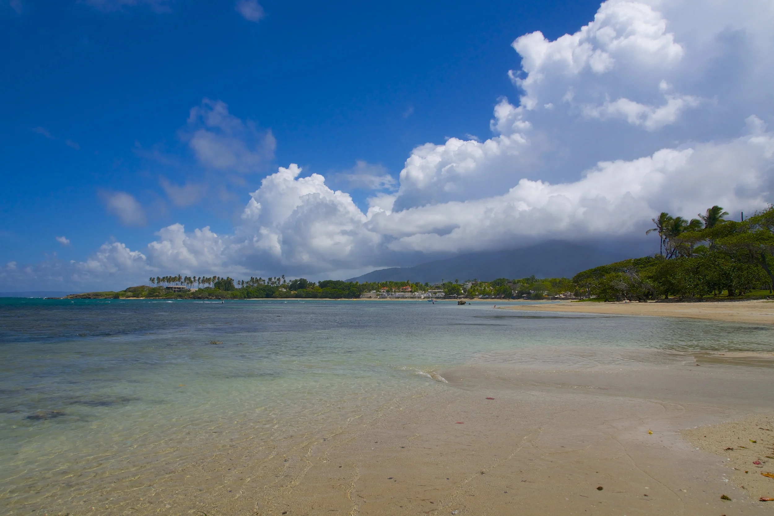 P1010363.jpg
