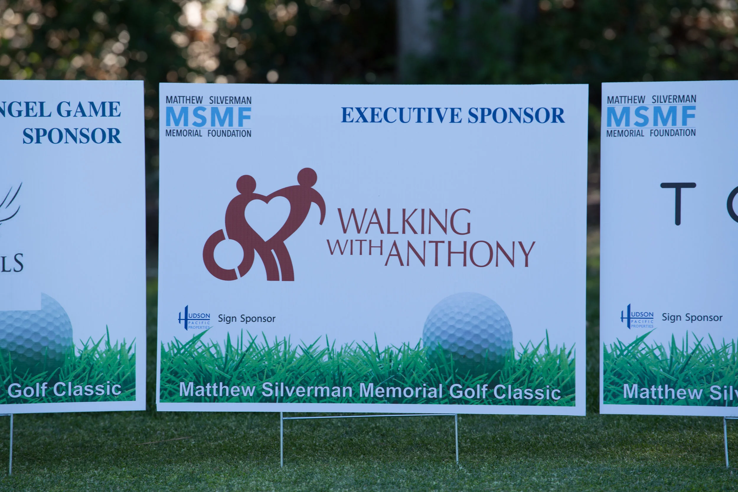 IMG_7815-SPONSOR SIGN-Walking with Anthony.jpg