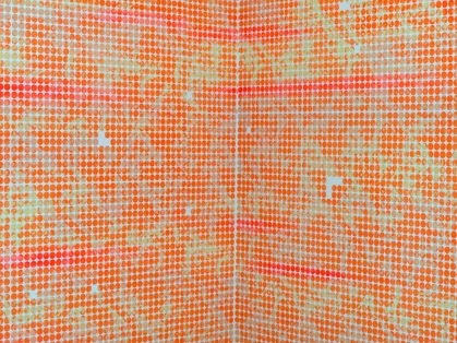 sara_hughes_matrix4.jpg