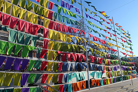 sara_hughes_flag_wall_2_.jpg