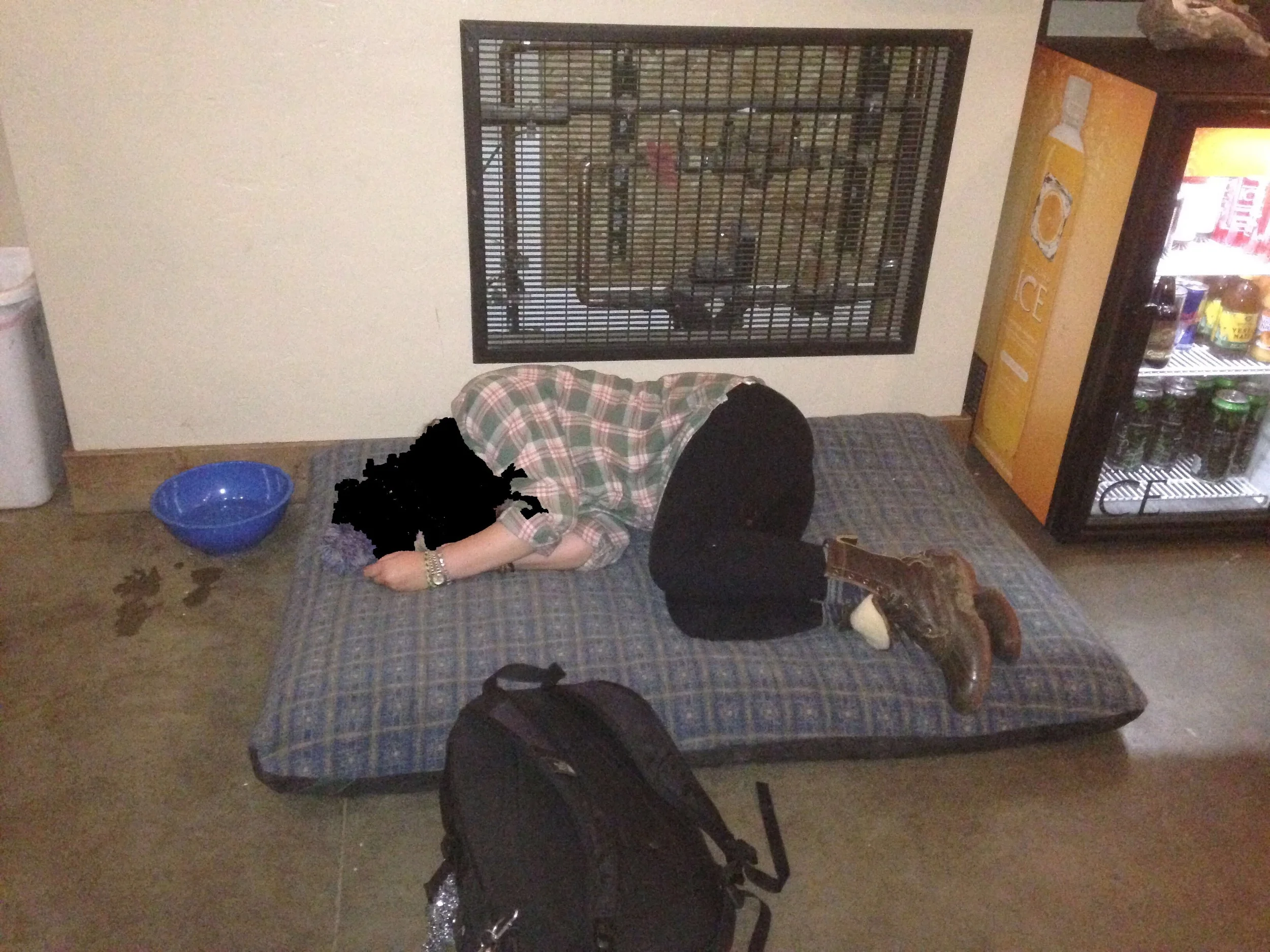 Quick dog bed naps are strongly encouraged. Please drink responsibly. 