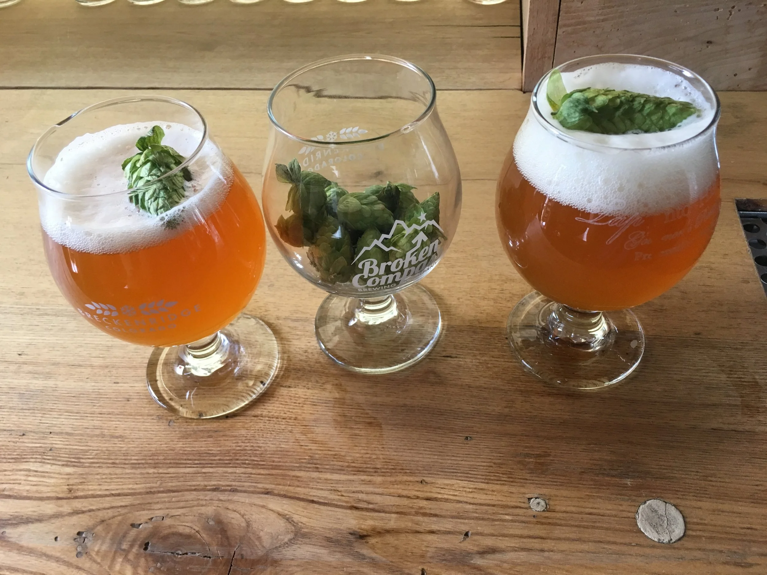 Wet Hop Pale Ale Specialty Tapping on Wednesday, Sept 13th! 