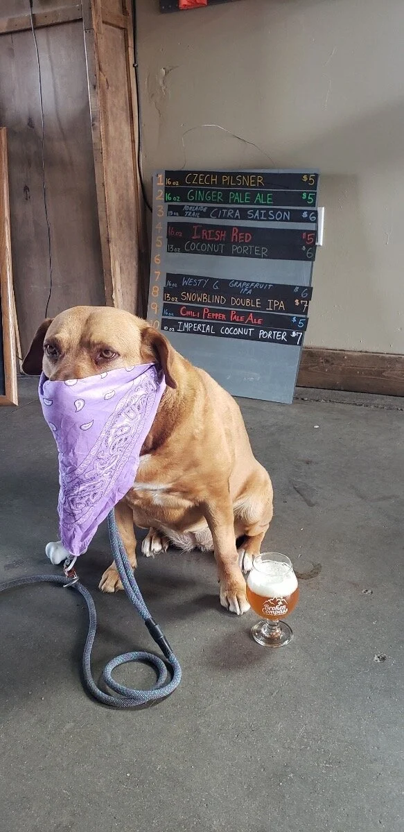 We're Back! Taproom Reopening Thursday, May 28th