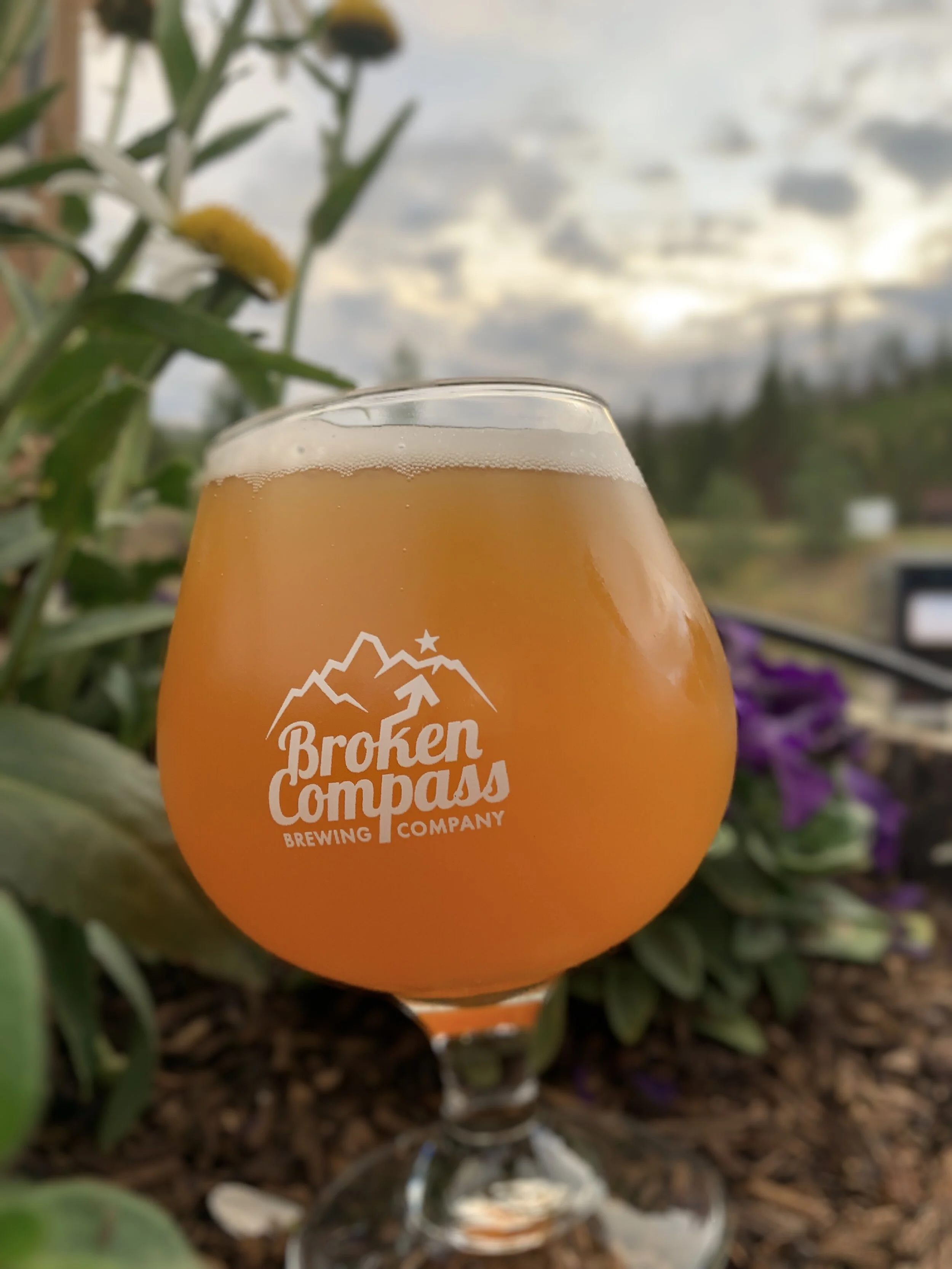 Chardonnay BA Ginger Pale.jpg