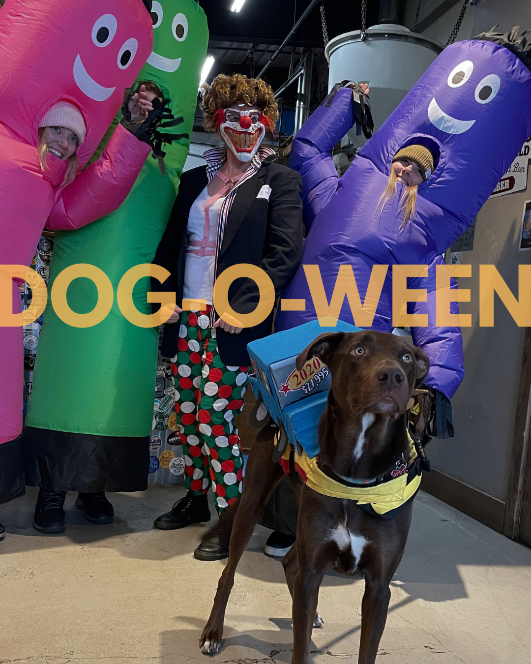 Dog-O-Ween 🎃🐾